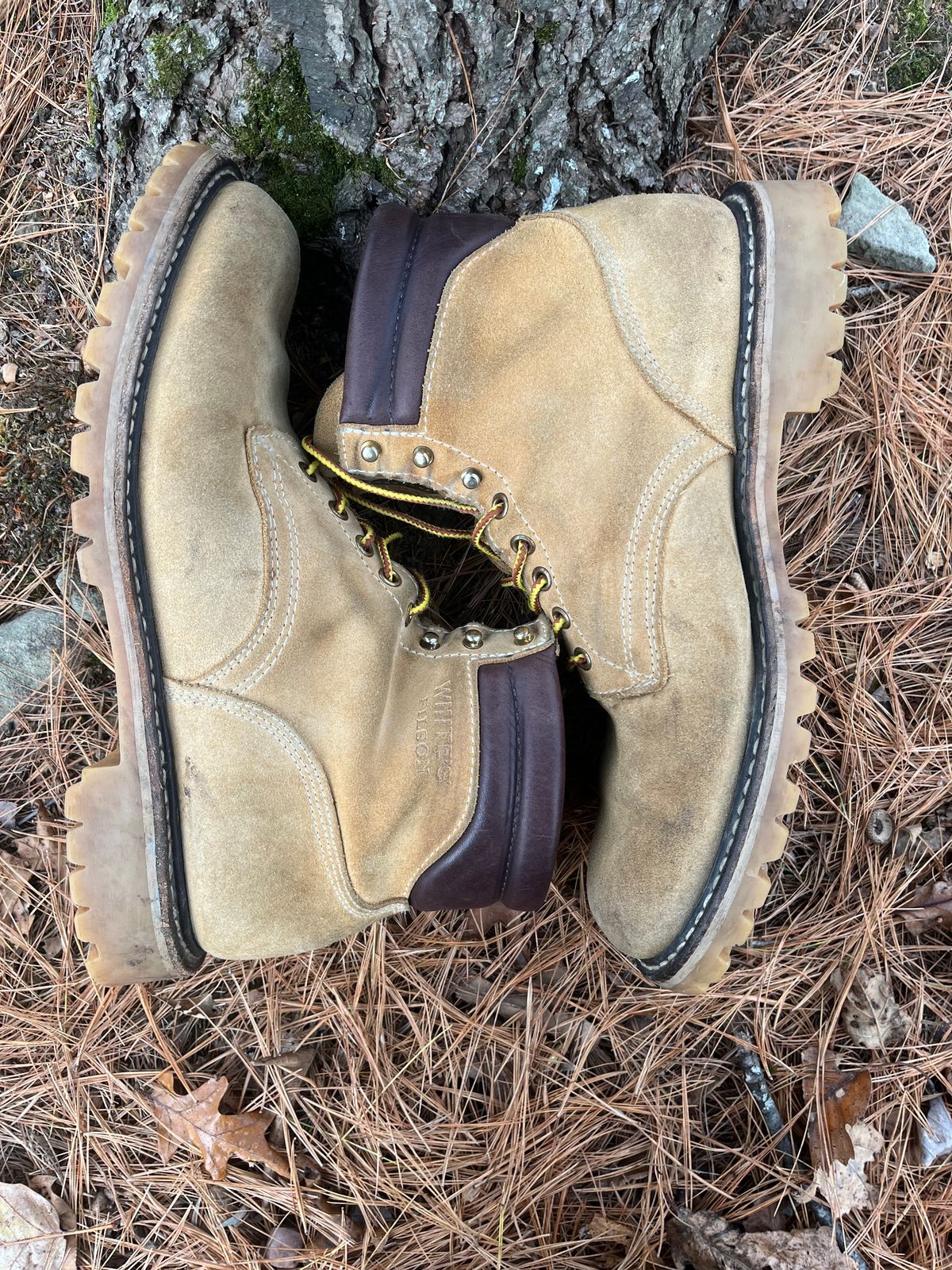 Photo by Chhh1984 on November 3, 2025 of the White's X Filson Shop Boot in Seidel Natural Suede.