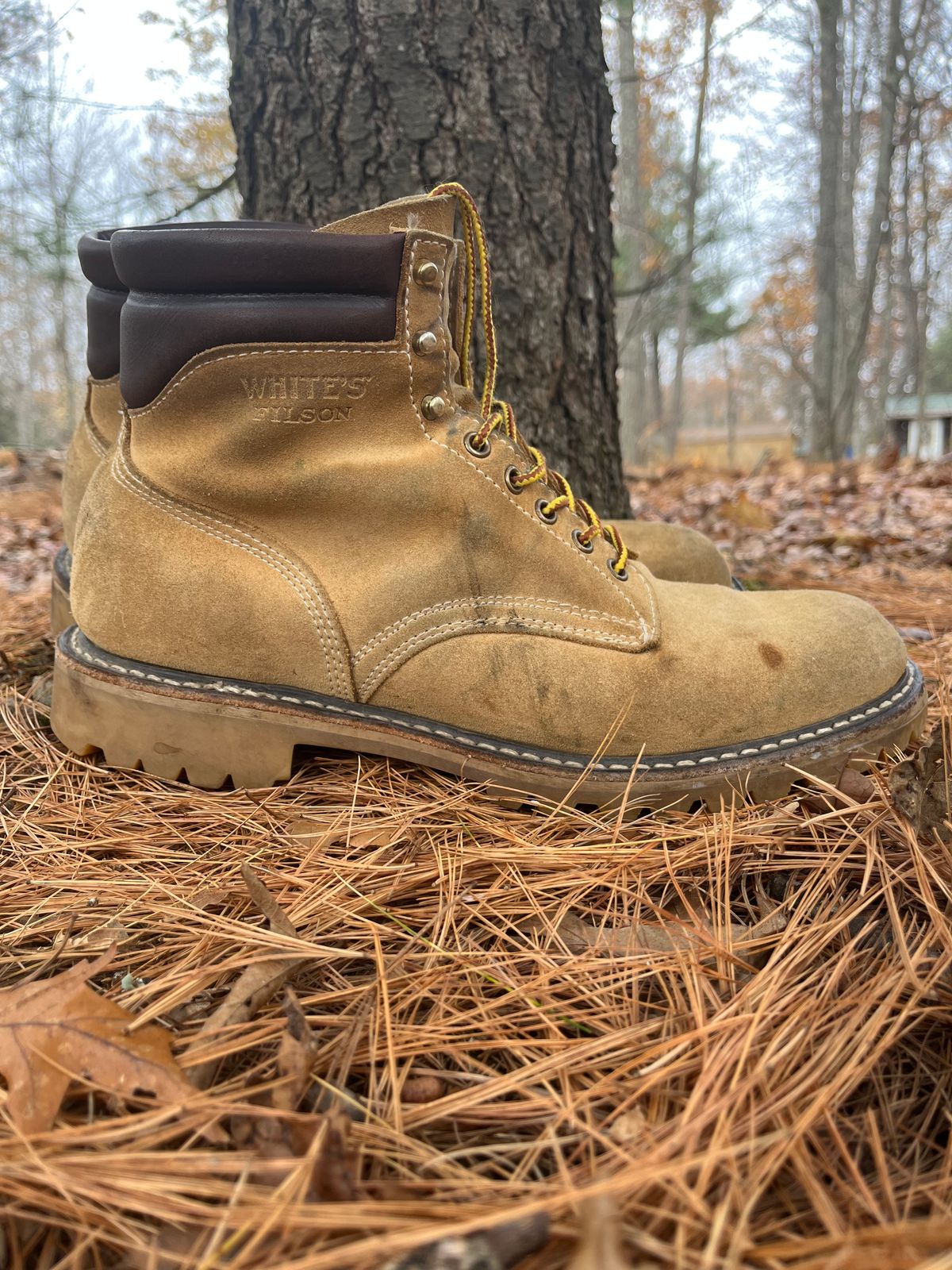 Photo by Chhh1984 on November 3, 2025 of the White's X Filson Shop Boot in Seidel Natural Suede.