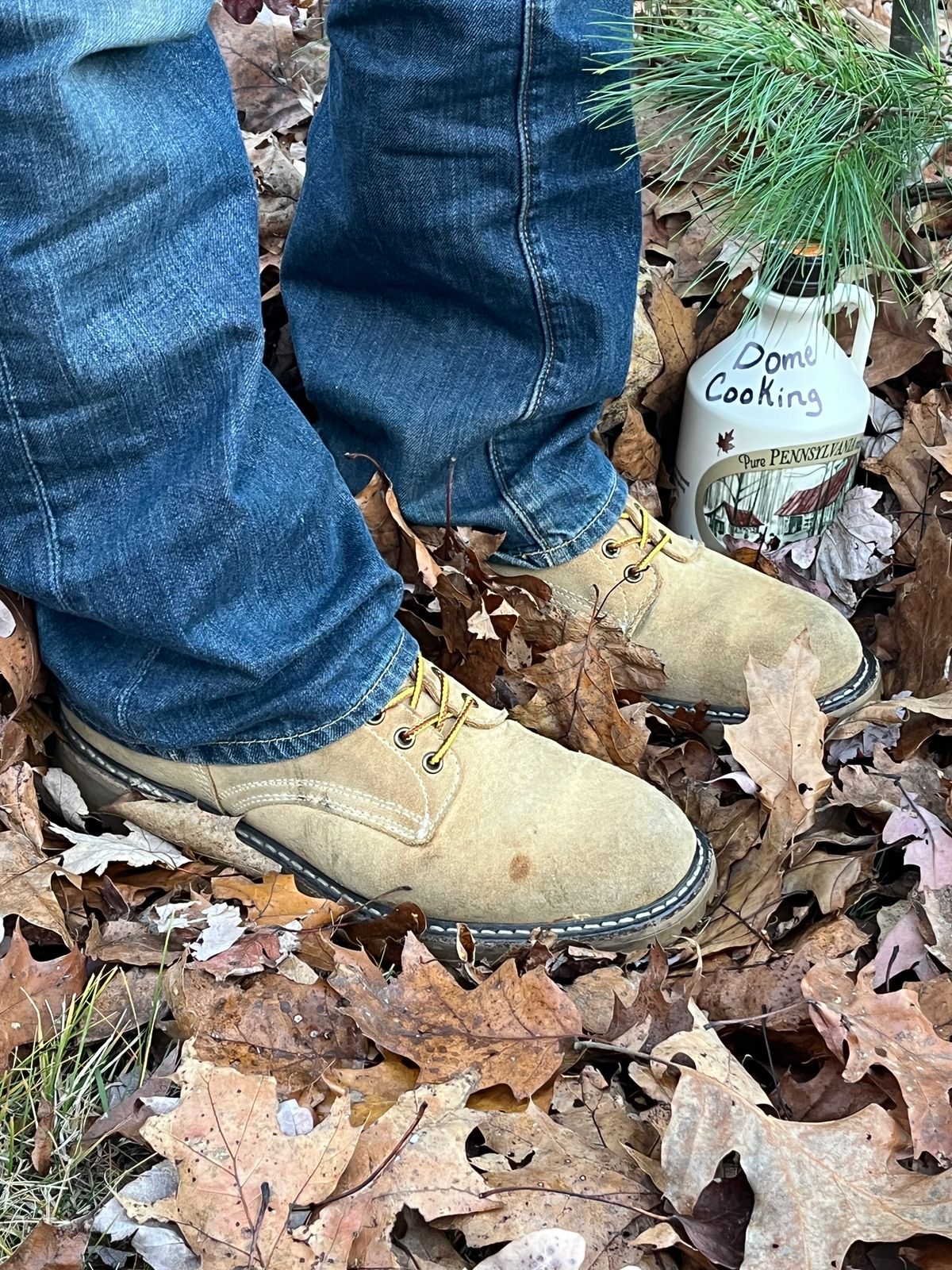 Photo by Chhh1984 on November 3, 2025 of the White's X Filson Shop Boot in Seidel Natural Suede.