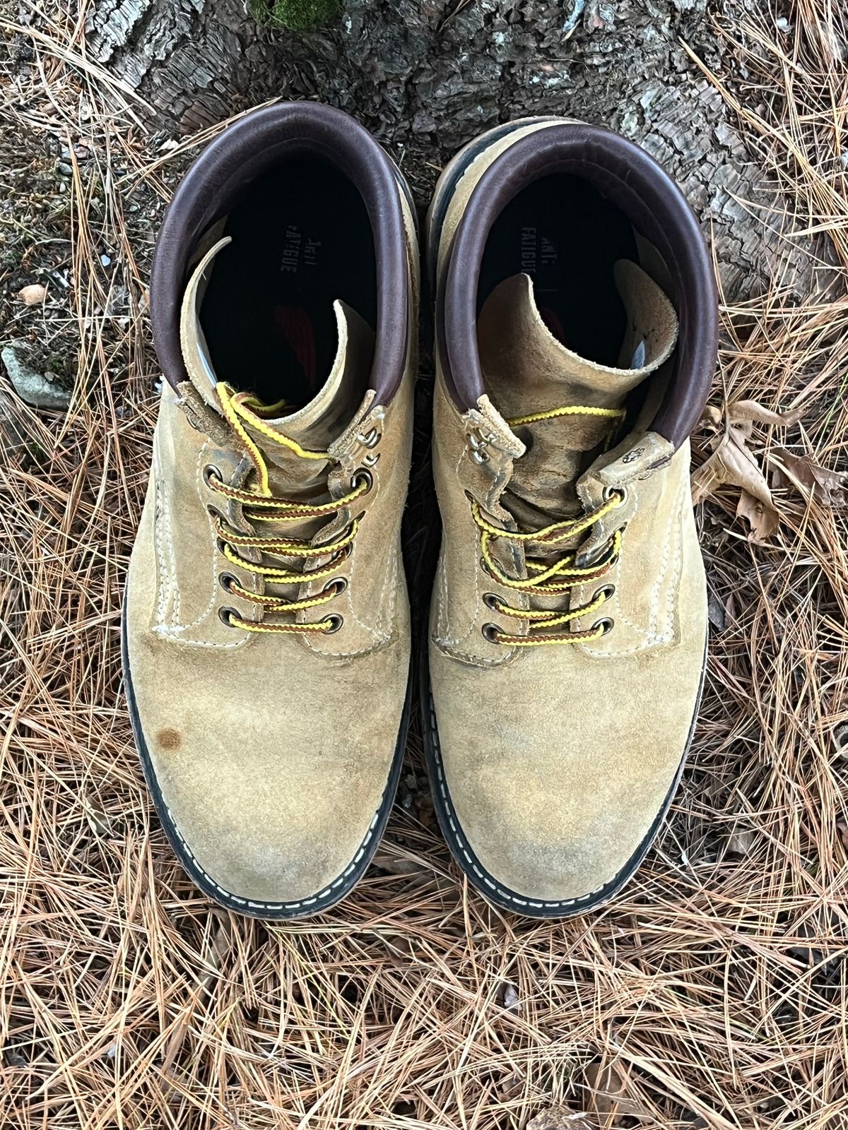 Photo by Chhh1984 on November 3, 2025 of the White's X Filson Shop Boot in Seidel Natural Suede.