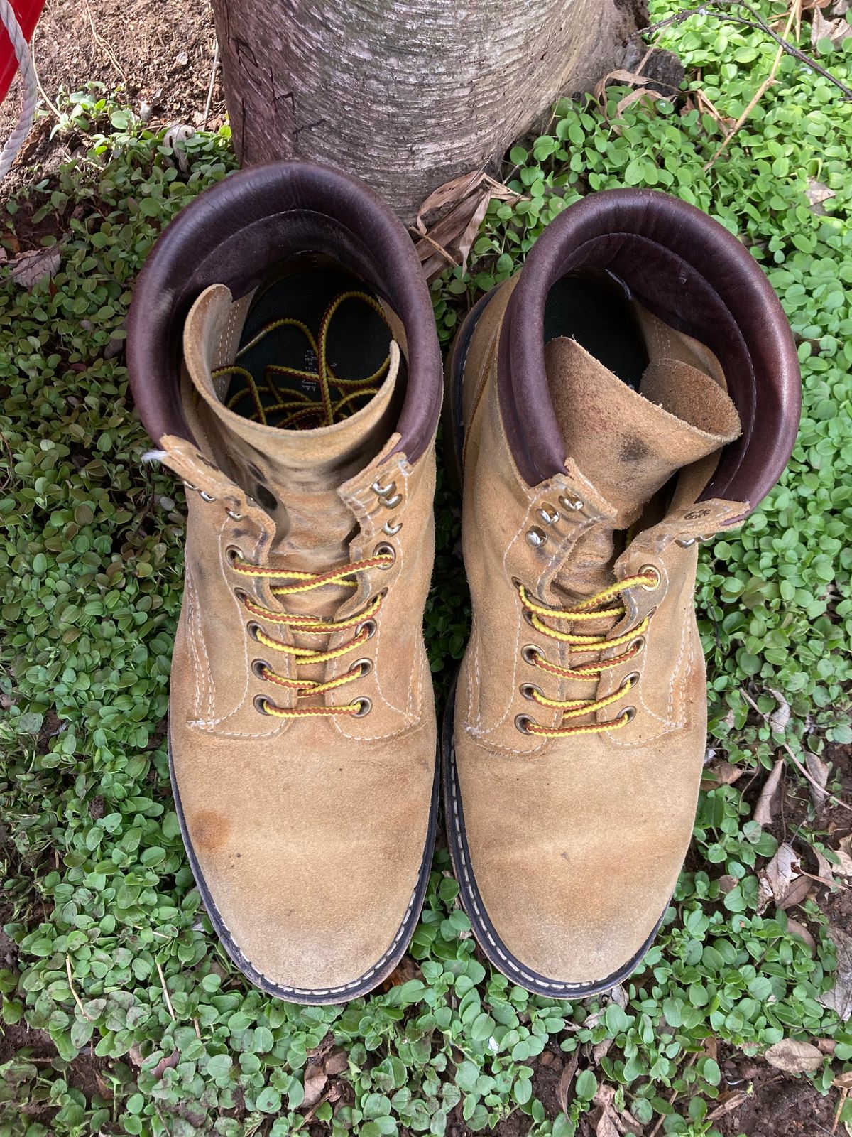 Photo by Chhh1984 on December 4, 2025 of the White's X Filson Shop Boot in Seidel Natural Suede.