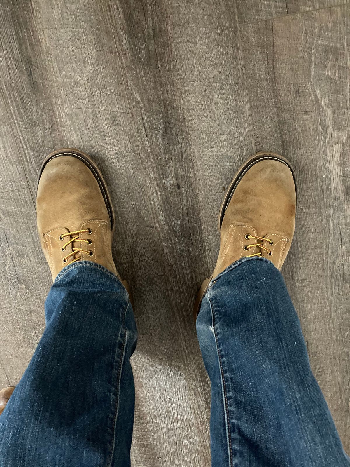 Photo by Chhh1984 on February 3, 2026 of the White's X Filson Shop Boot in Seidel Natural Suede.