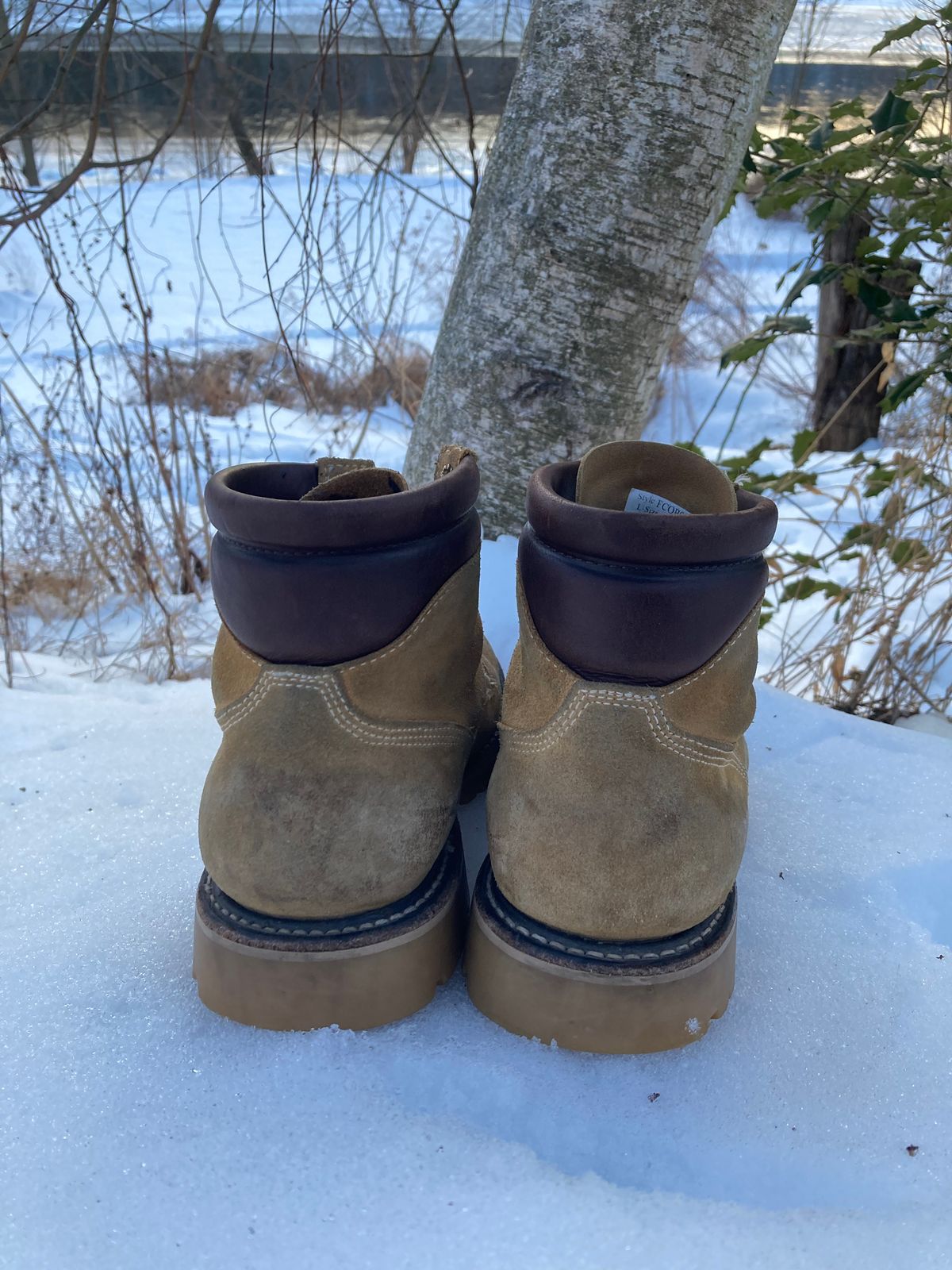 Photo by Chhh1984 on February 4, 2026 of the White's X Filson Shop Boot in Seidel Natural Suede.