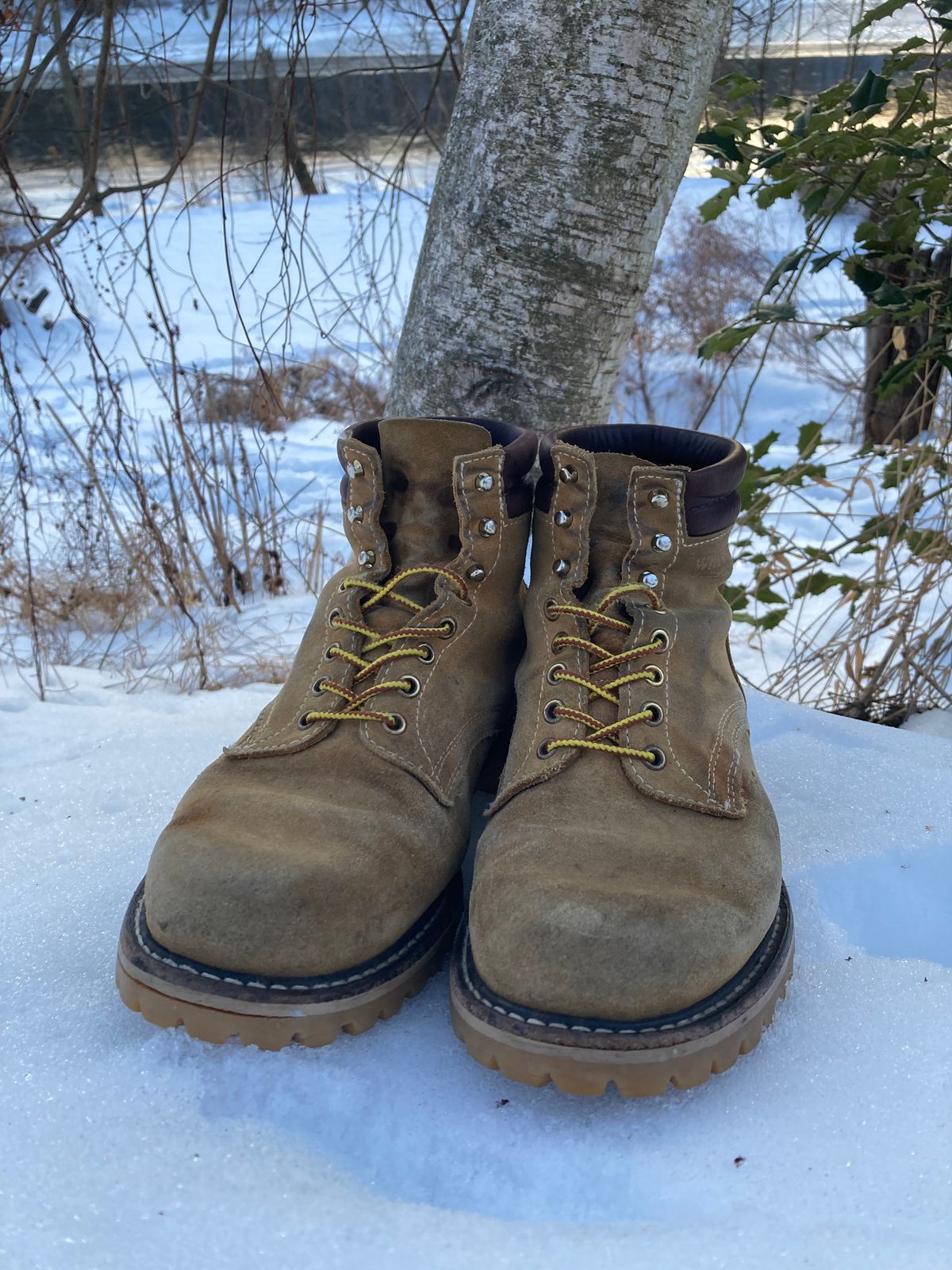 Photo by Chhh1984 on February 4, 2026 of the White's X Filson Shop Boot in Seidel Natural Suede.
