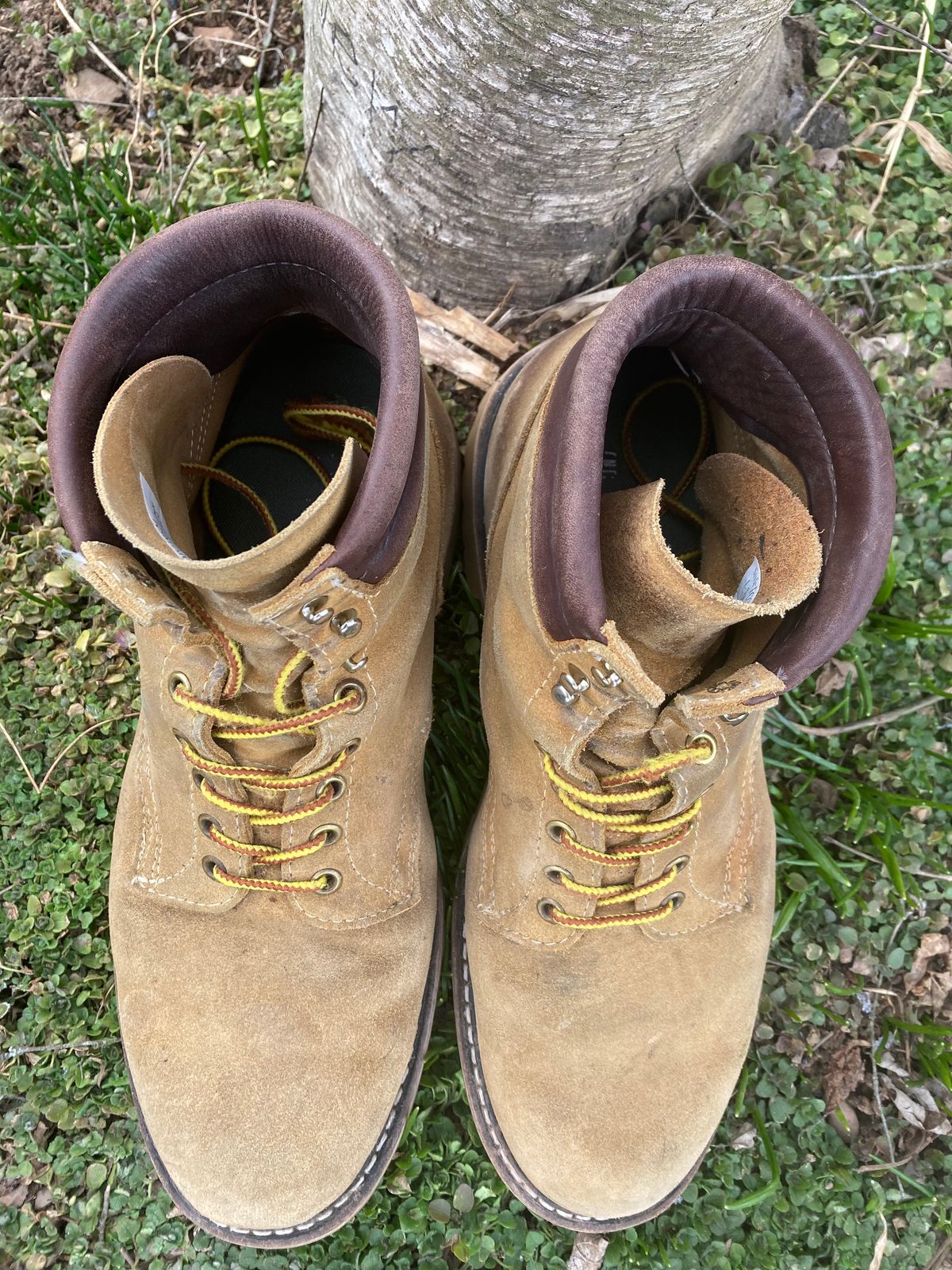 Photo by Chhh1984 on March 2, 2026 of the White's X Filson Shop Boot in Seidel Natural Suede.