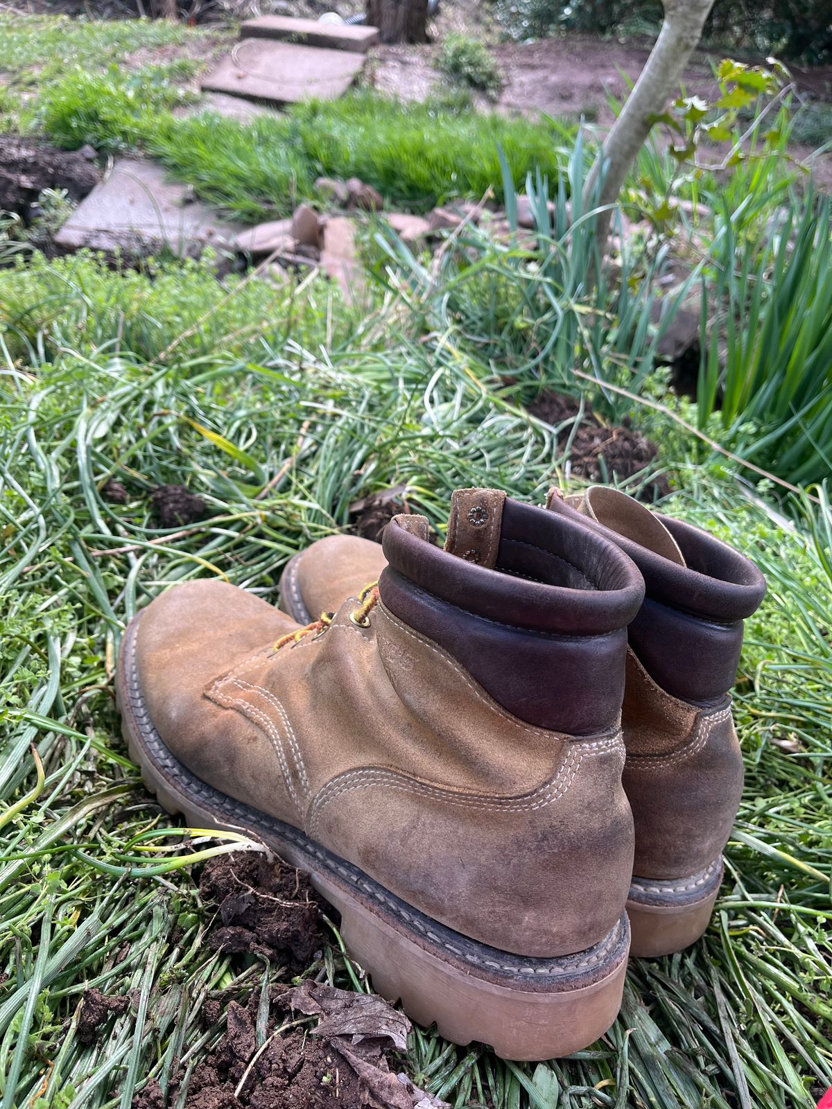 Photo by Chhh1984 on April 5, 2026 of the White's X Filson Shop Boot in Seidel Natural Suede.