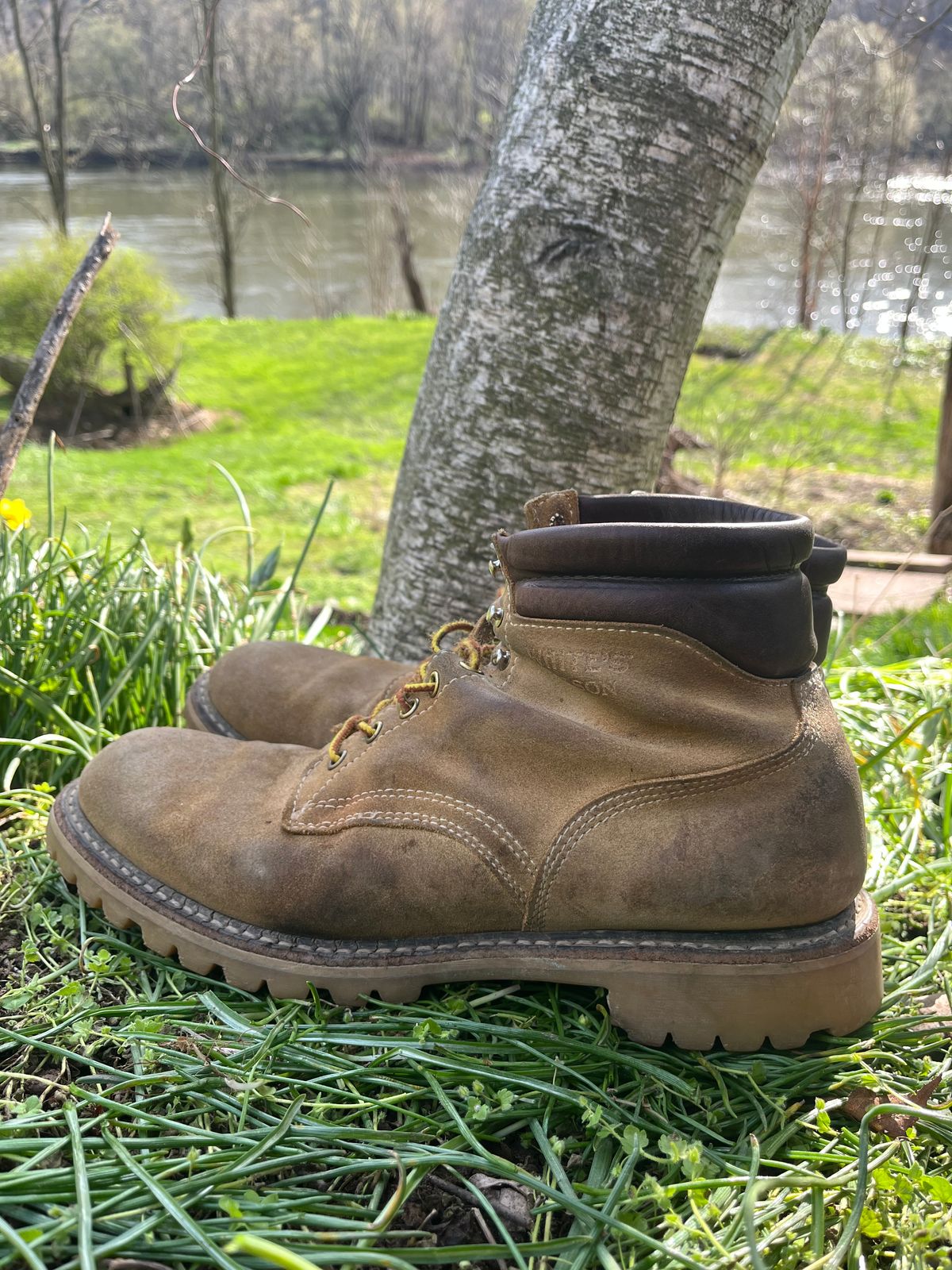 Photo by Chhh1984 on April 5, 2026 of the White's X Filson Shop Boot in Seidel Natural Suede.