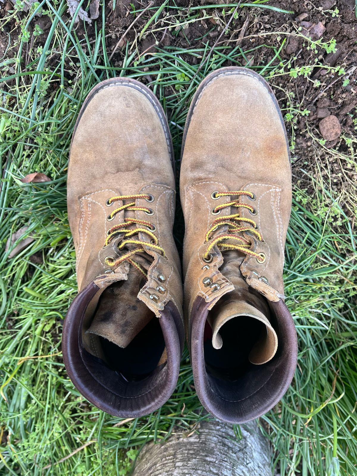 Photo by Chhh1984 on April 5, 2026 of the White's X Filson Shop Boot in Seidel Natural Suede.