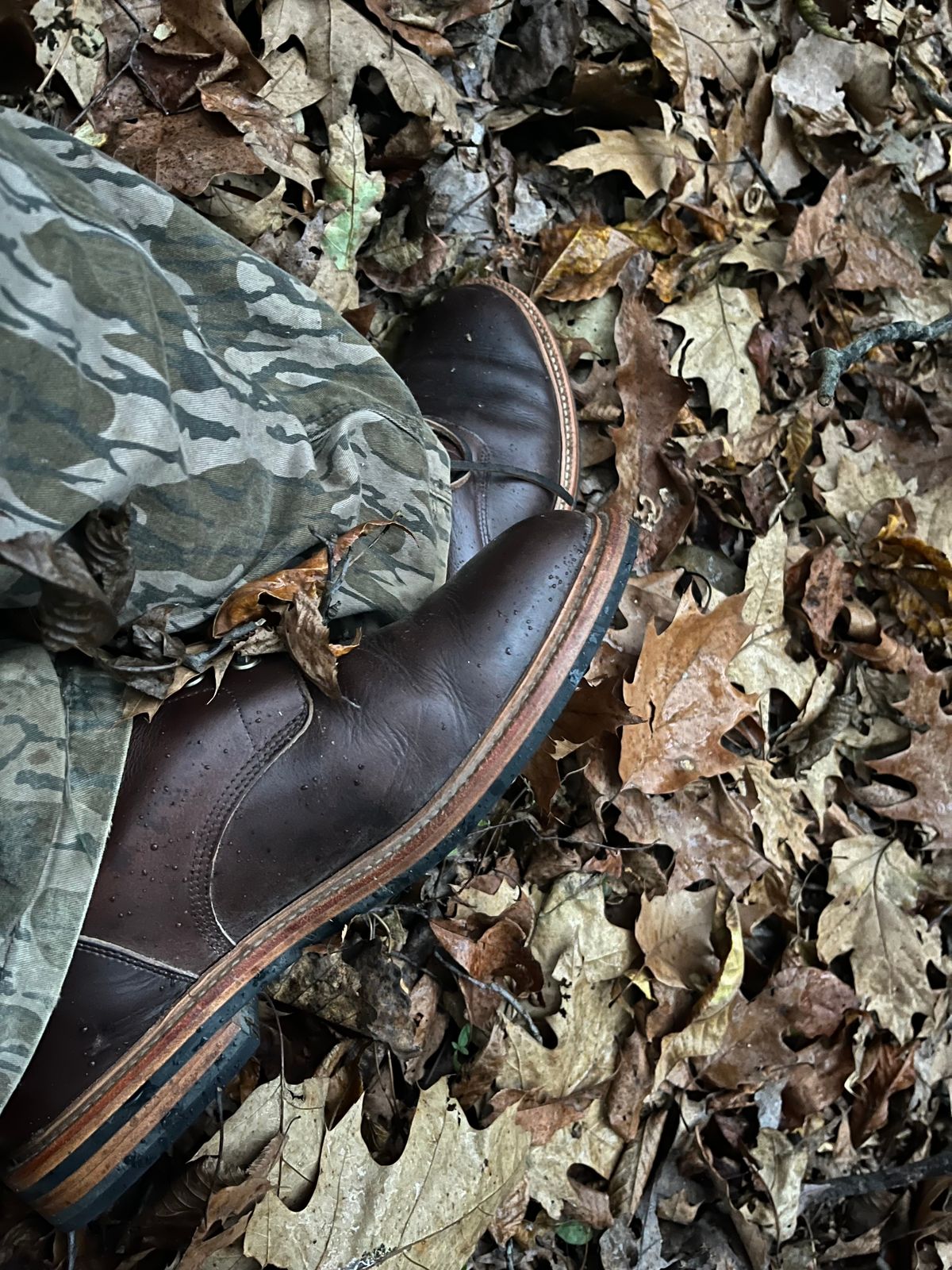 Photo by Chhh1984 on October 7, 2025 of the Grant Stone Diesel Boot in Horween Crimson Chromexcel.