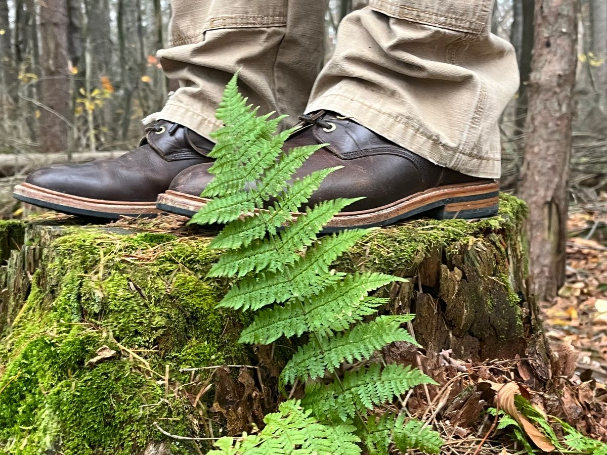Photo by Chhh1984 on November 3, 2025 of the Grant Stone Diesel Boot in Horween Crimson Chromexcel.