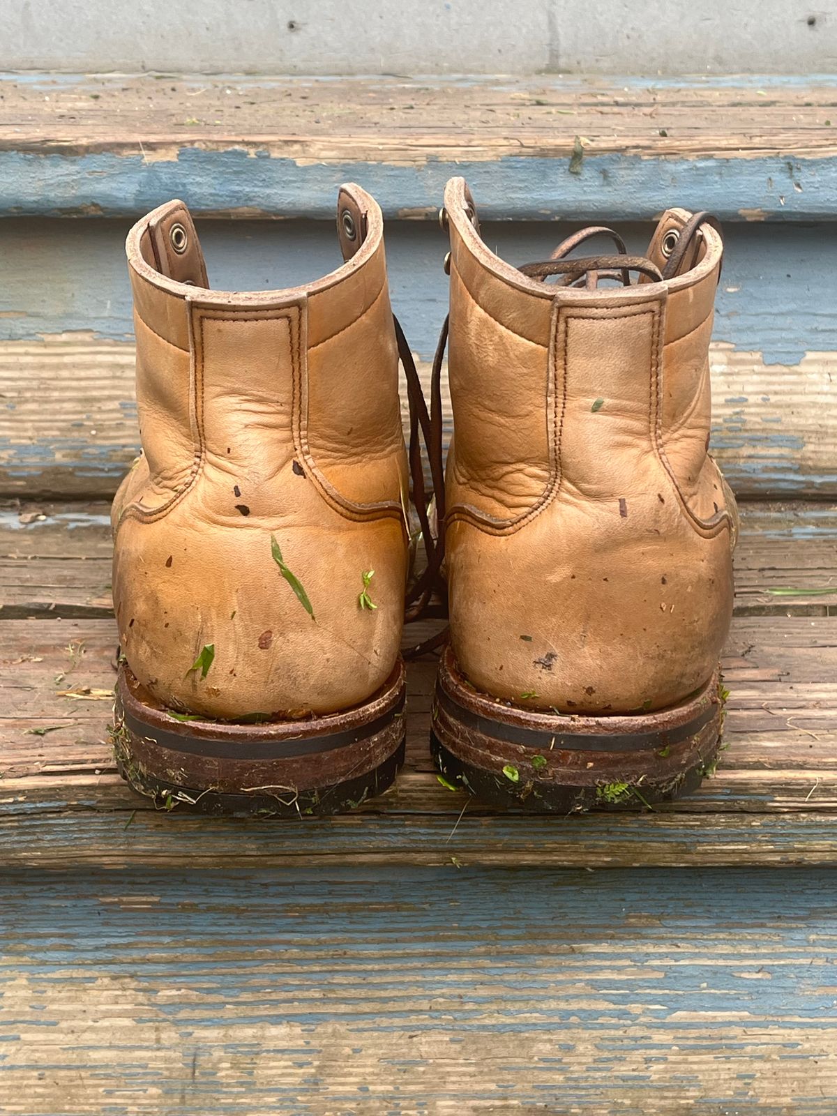 Photo by chhh1984 on August 20, 2025 of the Truman Plain Toe Boot in Horween Natural Cypress.