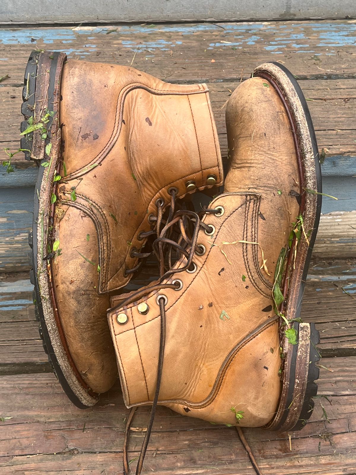 Photo by chhh1984 on August 20, 2025 of the Truman Plain Toe Boot in Horween Natural Cypress.