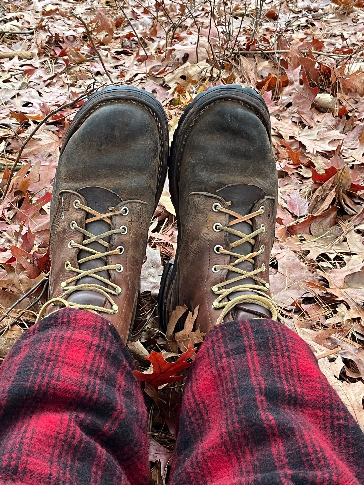 Photo by Chhh1984 on January 10, 2026 of the Nicks BuilderPro in Seidel 1964 Brown Roughout.