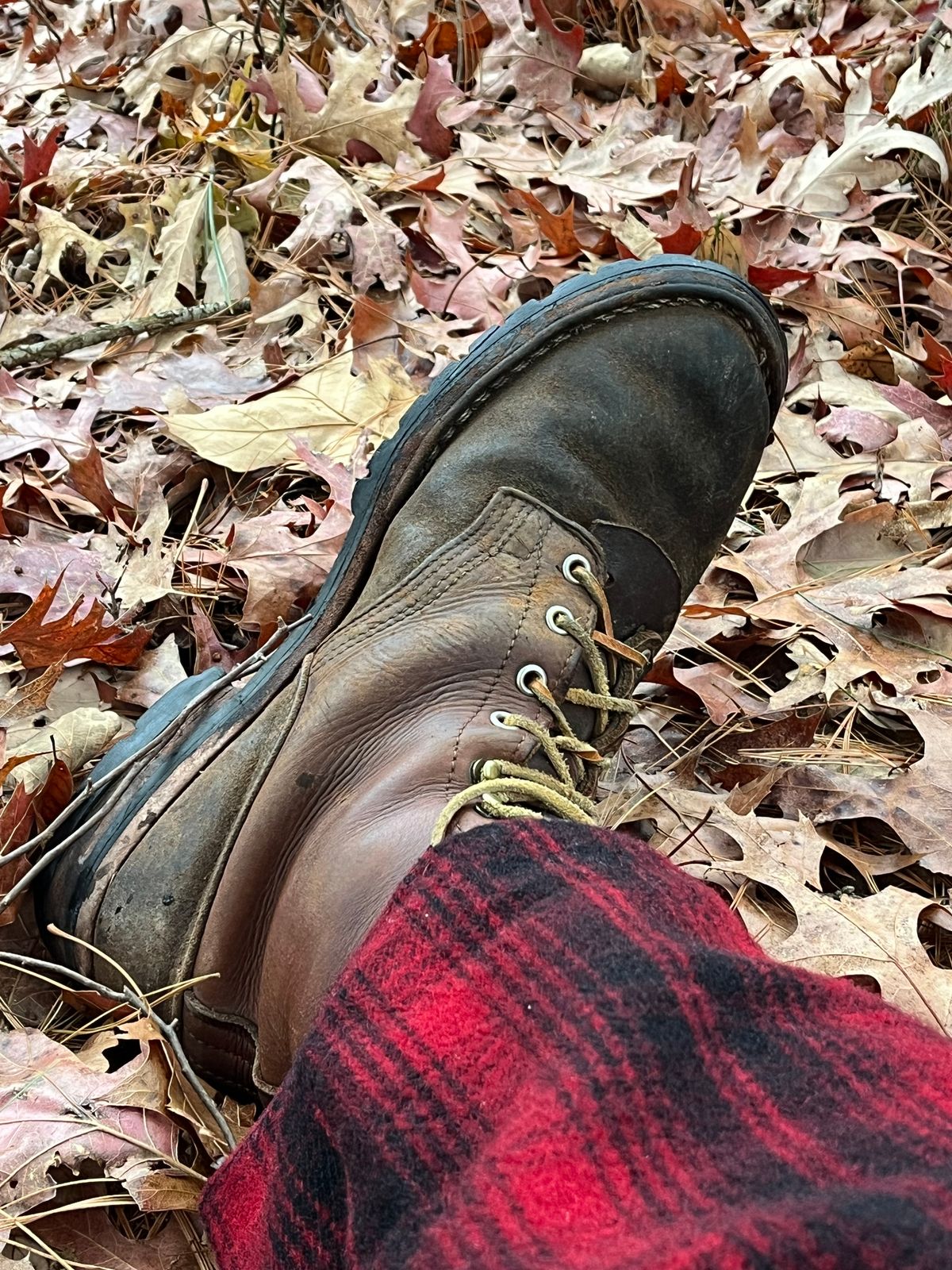 Photo by Chhh1984 on January 10, 2026 of the Nicks BuilderPro in Seidel 1964 Brown Roughout.