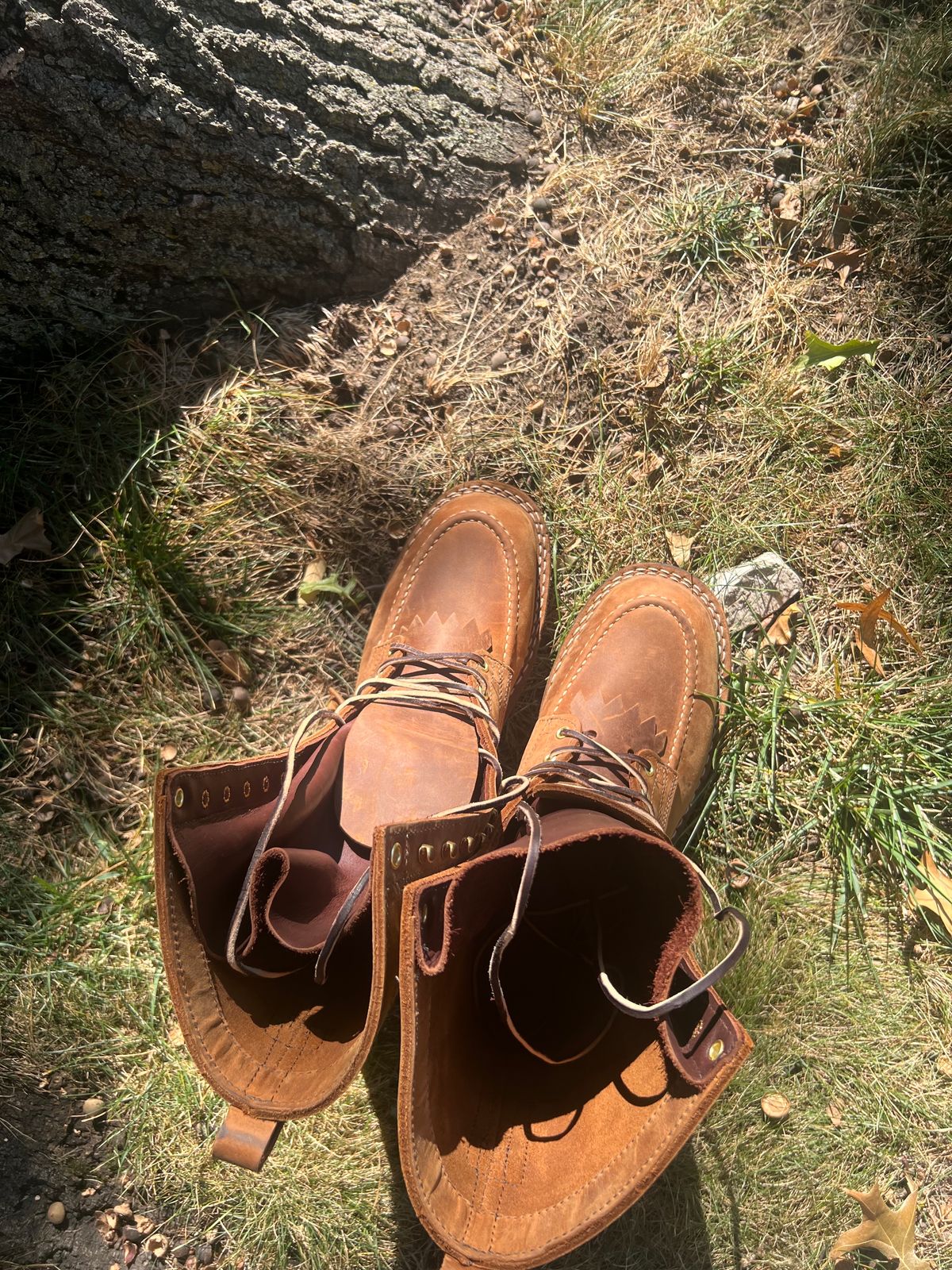Photo by joji_k on October 1, 2023 of the Nicks WaterWork in Seidel WeatherShield Brown.