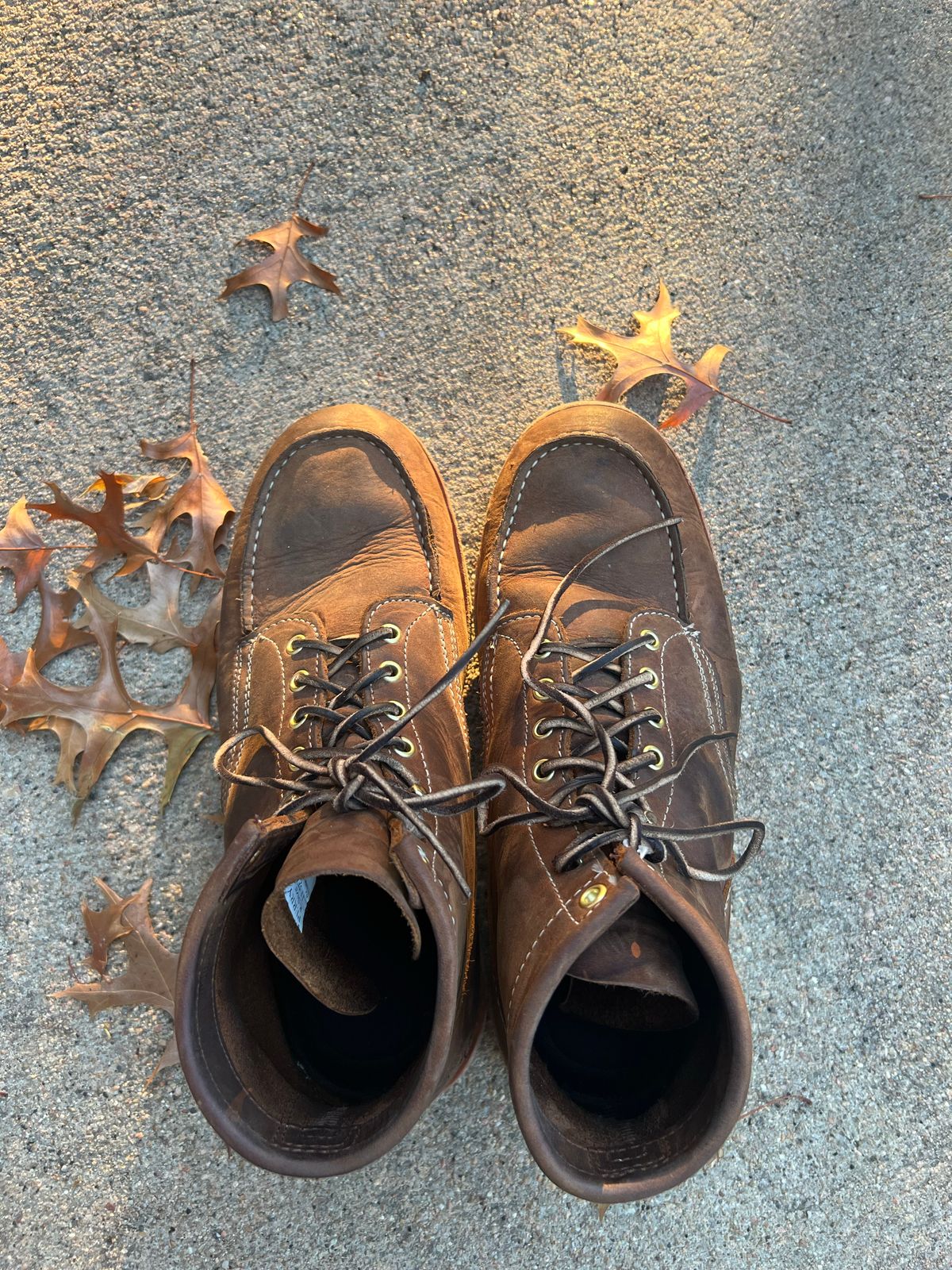 Photo by joji_k on November 5, 2022 of the White's Perry in Unknown Leather.