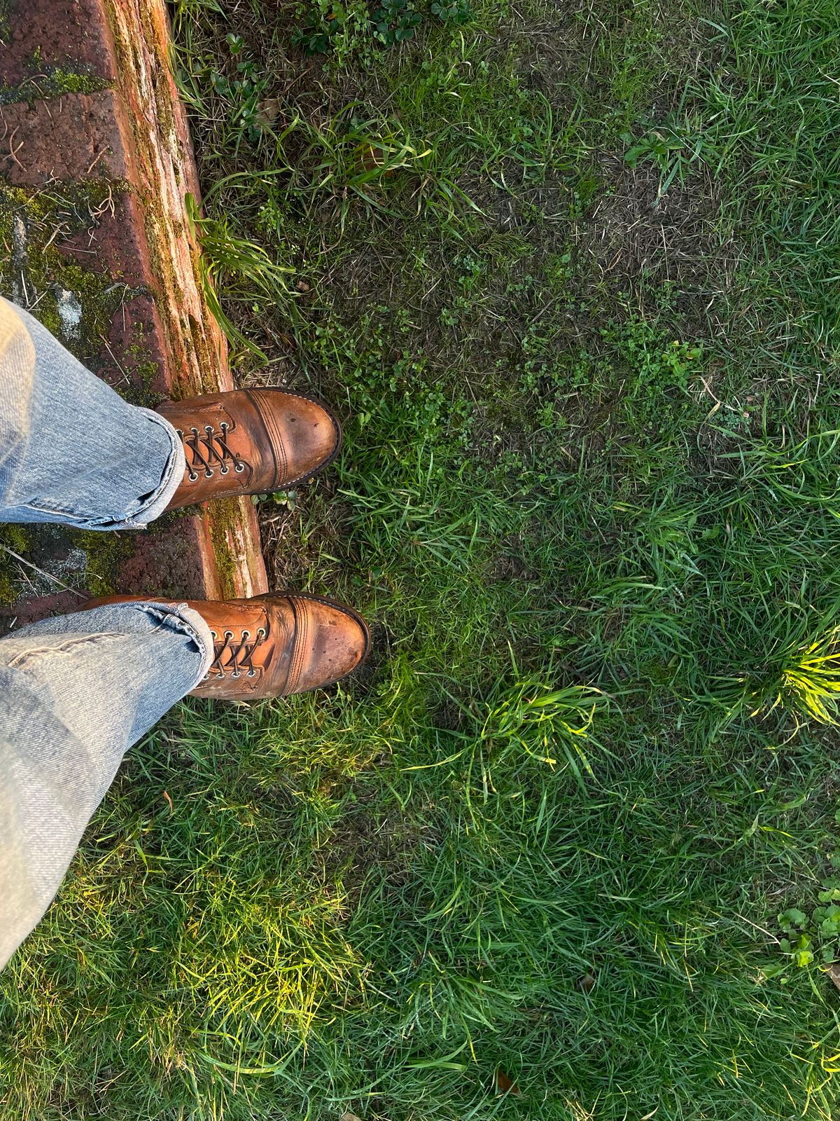 Photo by lbressoud737 on November 12, 2023 of the Red Wing Iron Ranger in S.B. Foot Copper Rough and Tough.