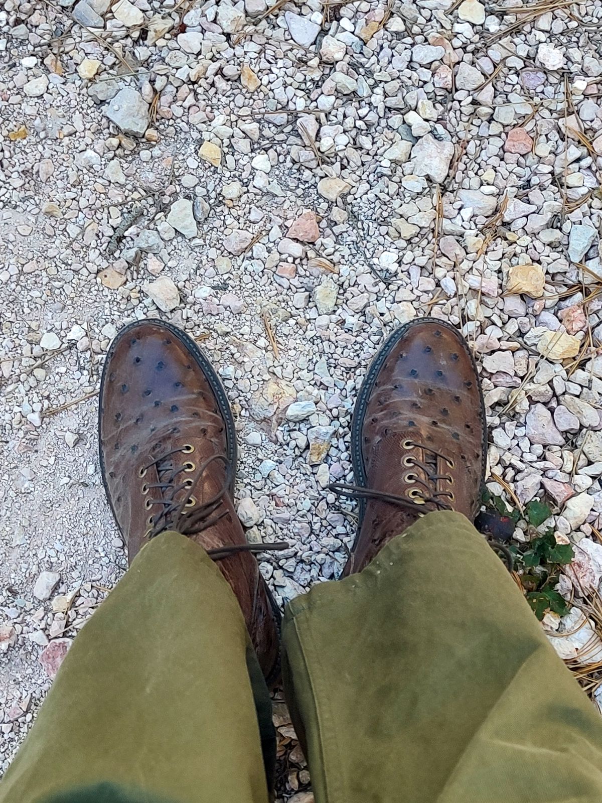 Photo by prospect_joe on October 7, 2023 of the Grant Stone Diesel Boot in Kango Tobacco Ostrich.