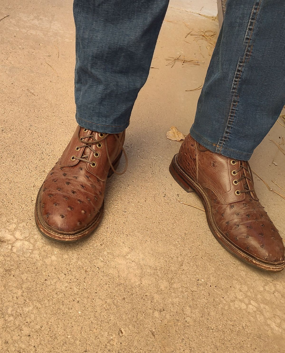 Photo by prospect_joe on October 24, 2023 of the Grant Stone Diesel Boot in Kango Tobacco Ostrich.