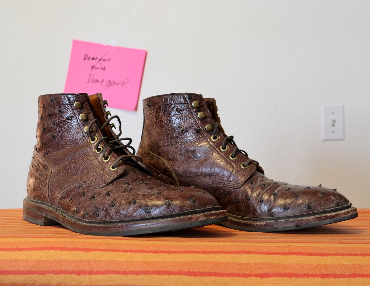 Photo by prospect_joe on November 1, 2023 of the Grant Stone Diesel Boot in Kango Tobacco Ostrich.