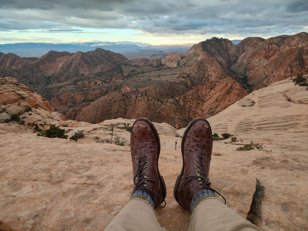 Photo by prospect_joe on November 18, 2023 of the Grant Stone Diesel Boot in Kango Tobacco Ostrich.