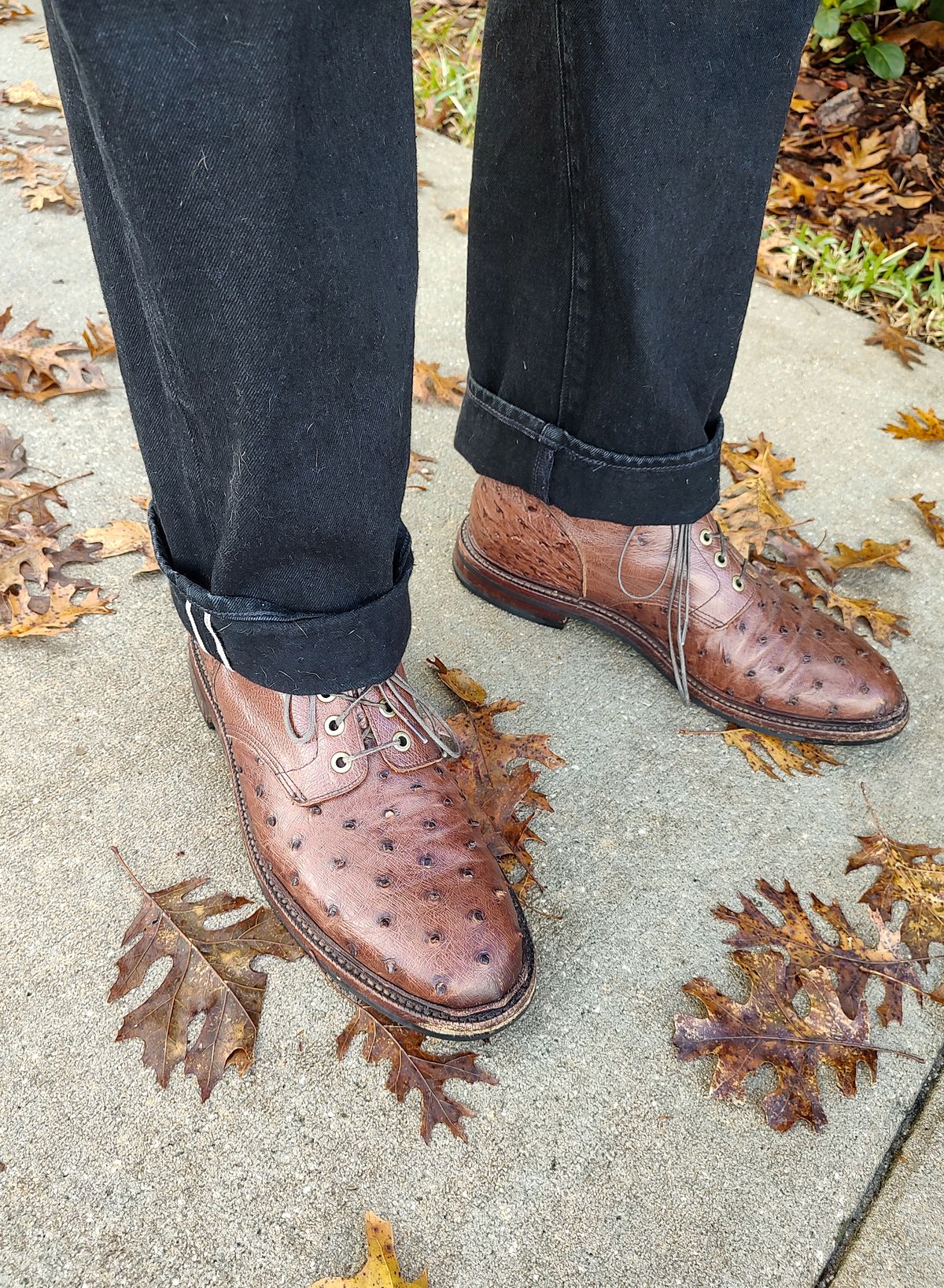 Photo by prospect_joe on January 1, 2024 of the Grant Stone Diesel Boot in Kango Tobacco Ostrich.