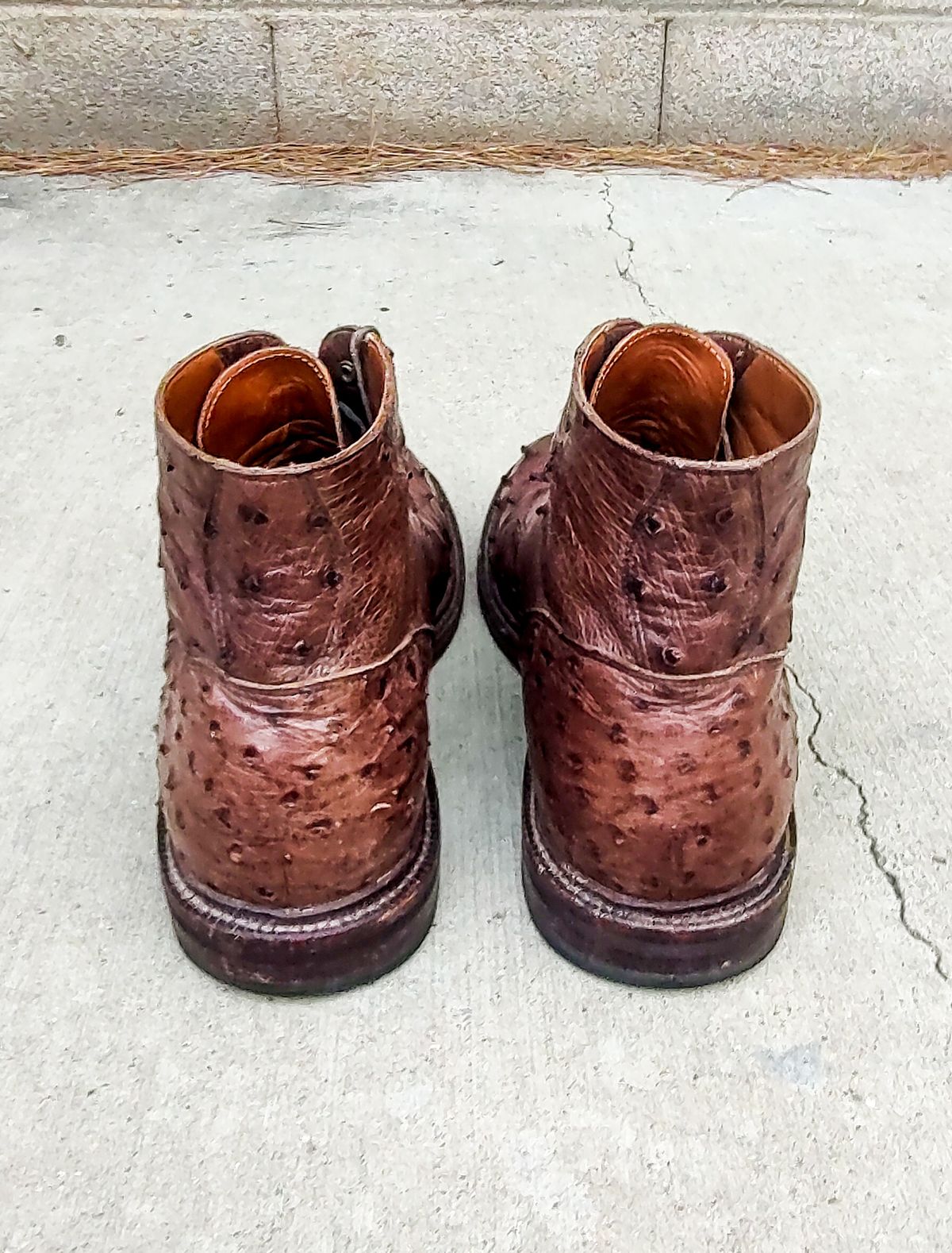 Photo by prospect_joe on January 1, 2024 of the Grant Stone Diesel Boot in Kango Tobacco Ostrich.