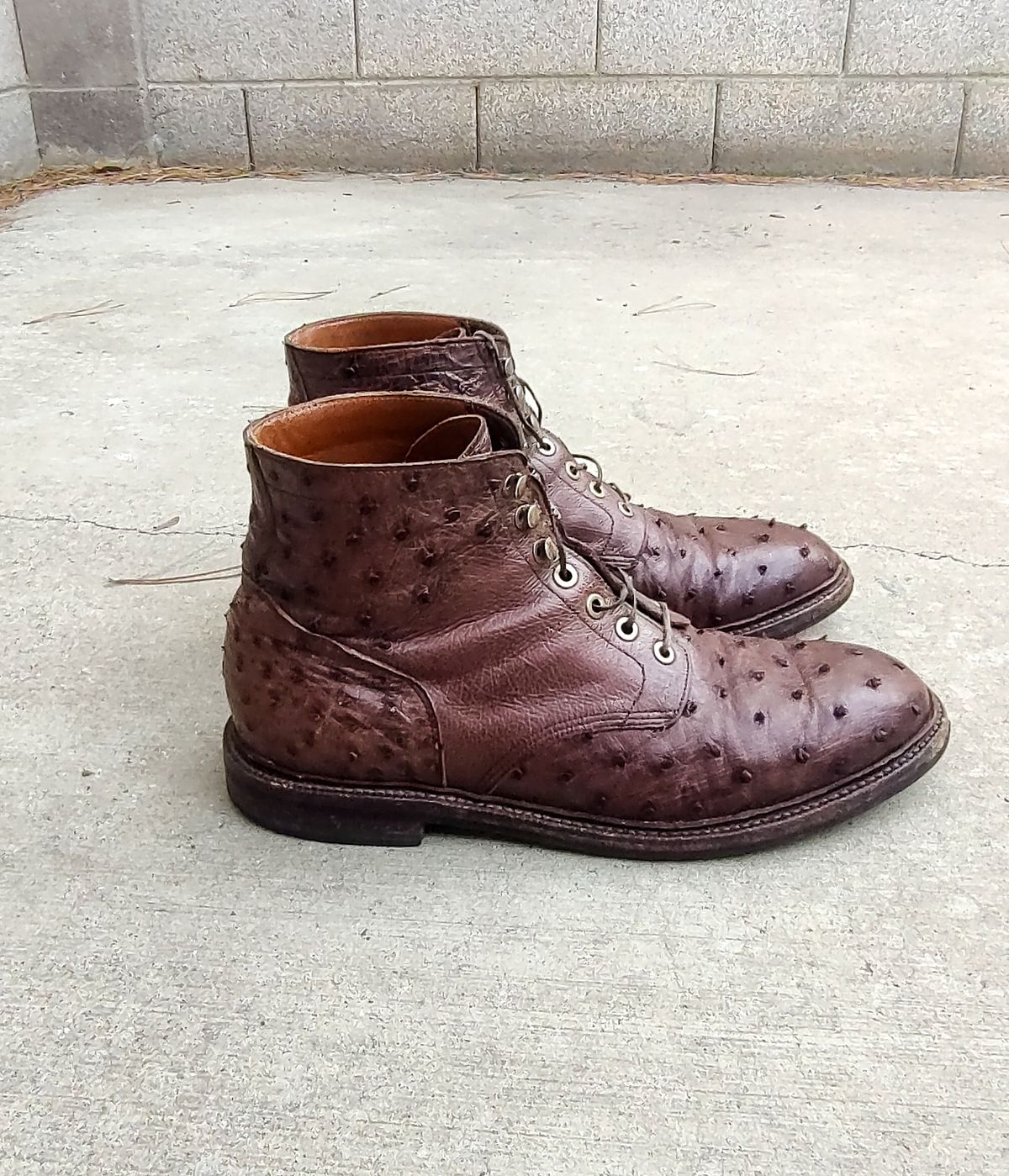 Photo by prospect_joe on January 1, 2024 of the Grant Stone Diesel Boot in Kango Tobacco Ostrich.