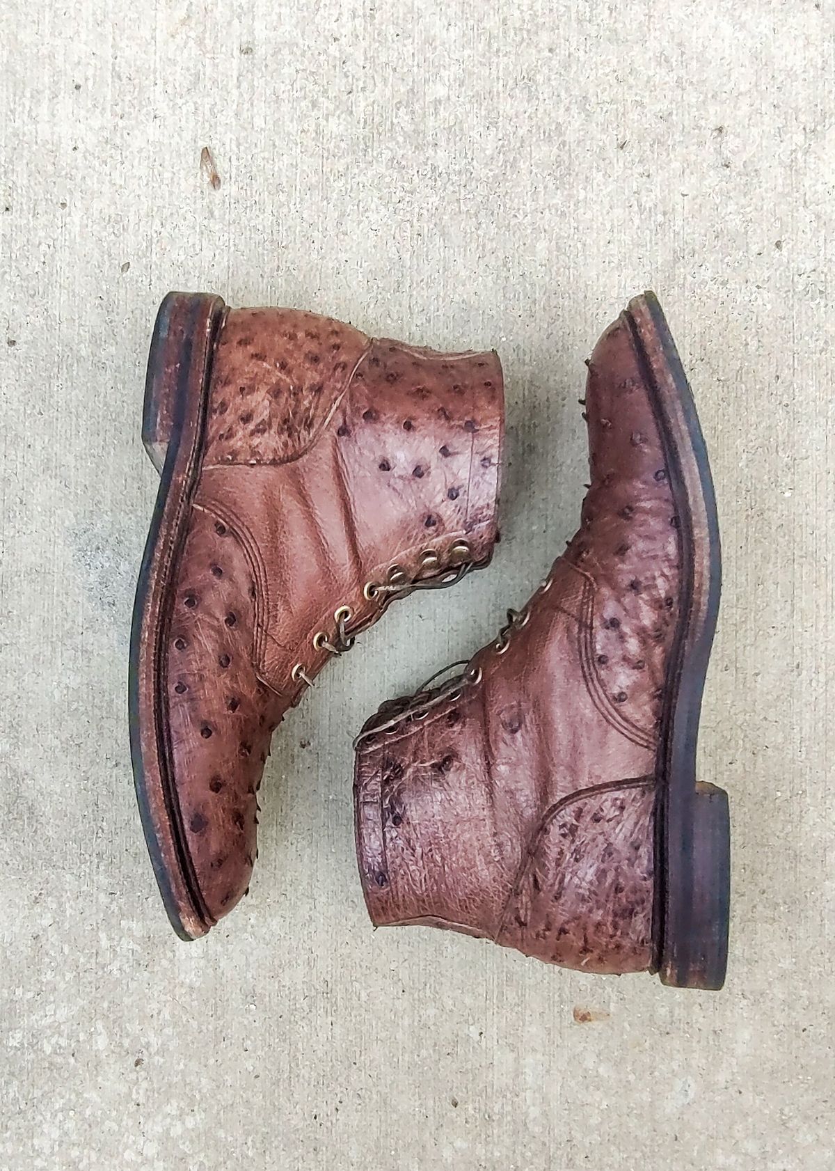 Photo by prospect_joe on January 1, 2024 of the Grant Stone Diesel Boot in Kango Tobacco Ostrich.