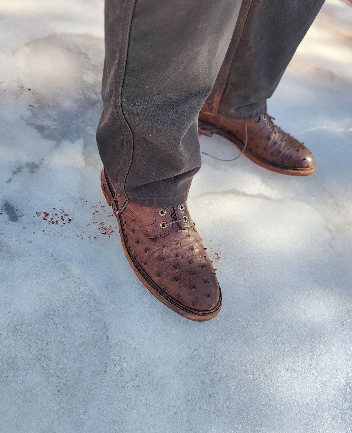 Photo by prospect_joe on January 2, 2024 of the Grant Stone Diesel Boot in Kango Tobacco Ostrich.