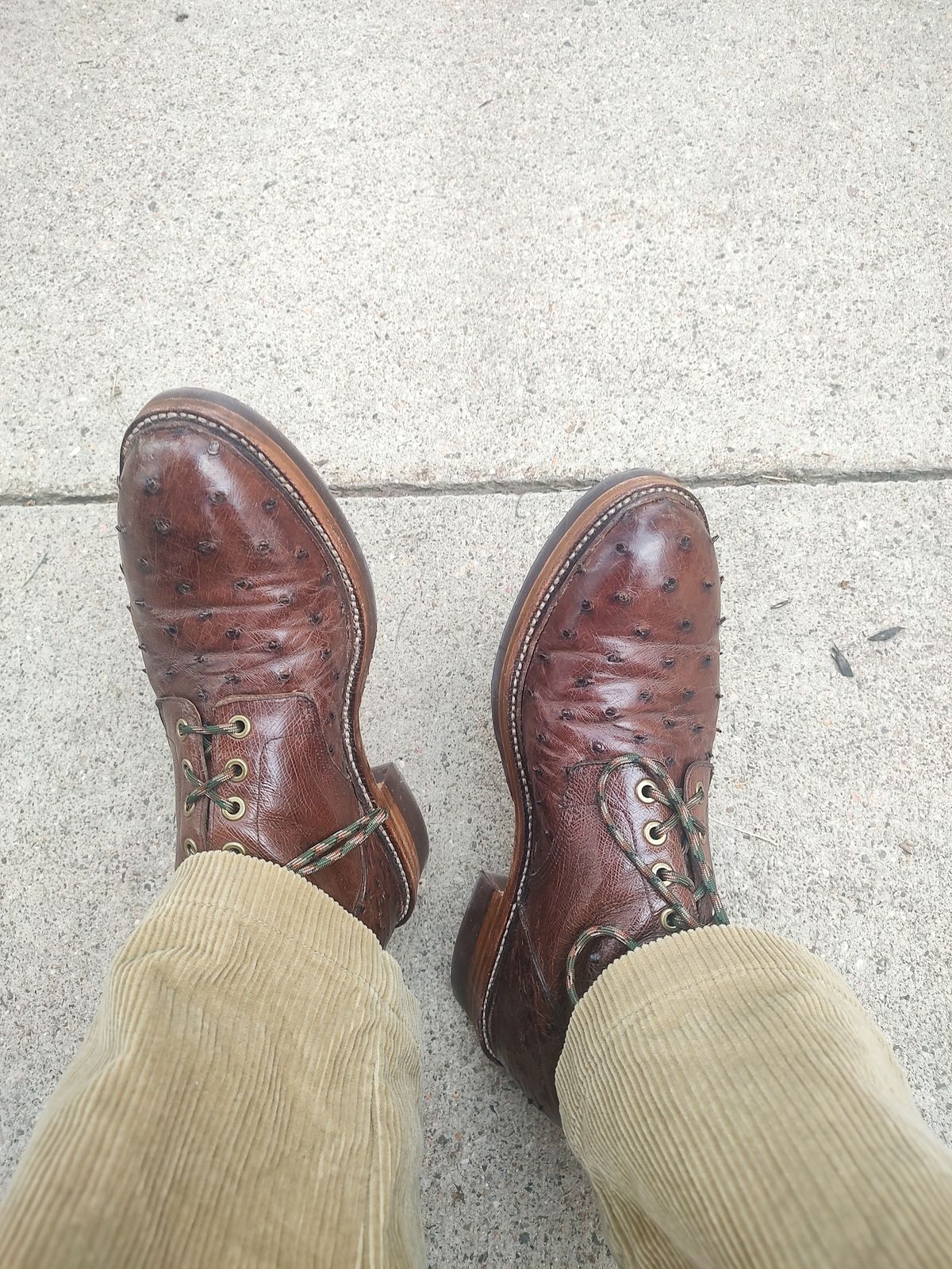 Photo by prospect_joe on July 11, 2024 of the Grant Stone Diesel Boot in Kango Tobacco Ostrich.