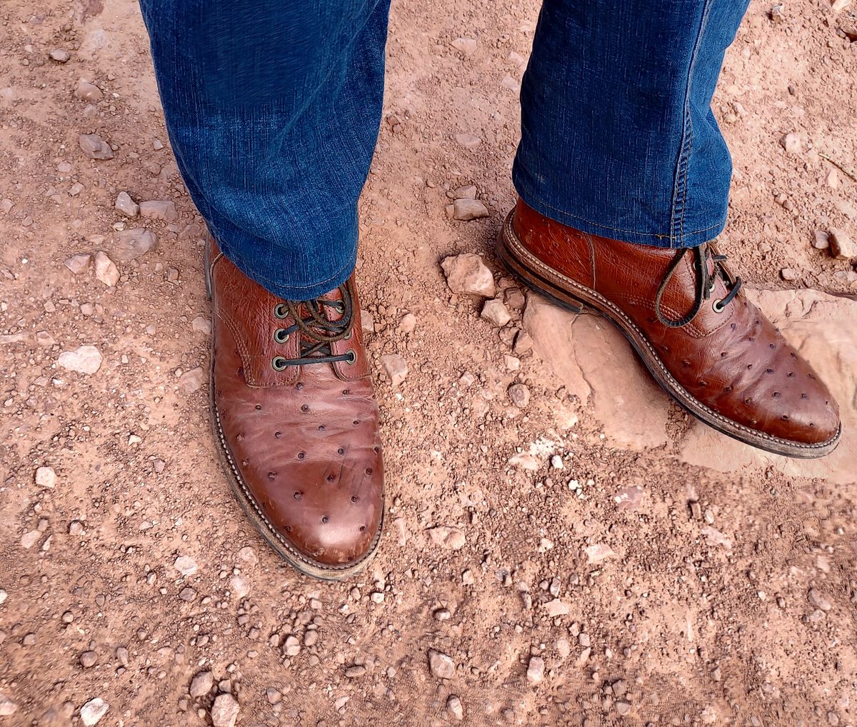 Photo by prospect_joe on June 19, 2023 of the Grant Stone Diesel Boot in Cognac Ostrich.