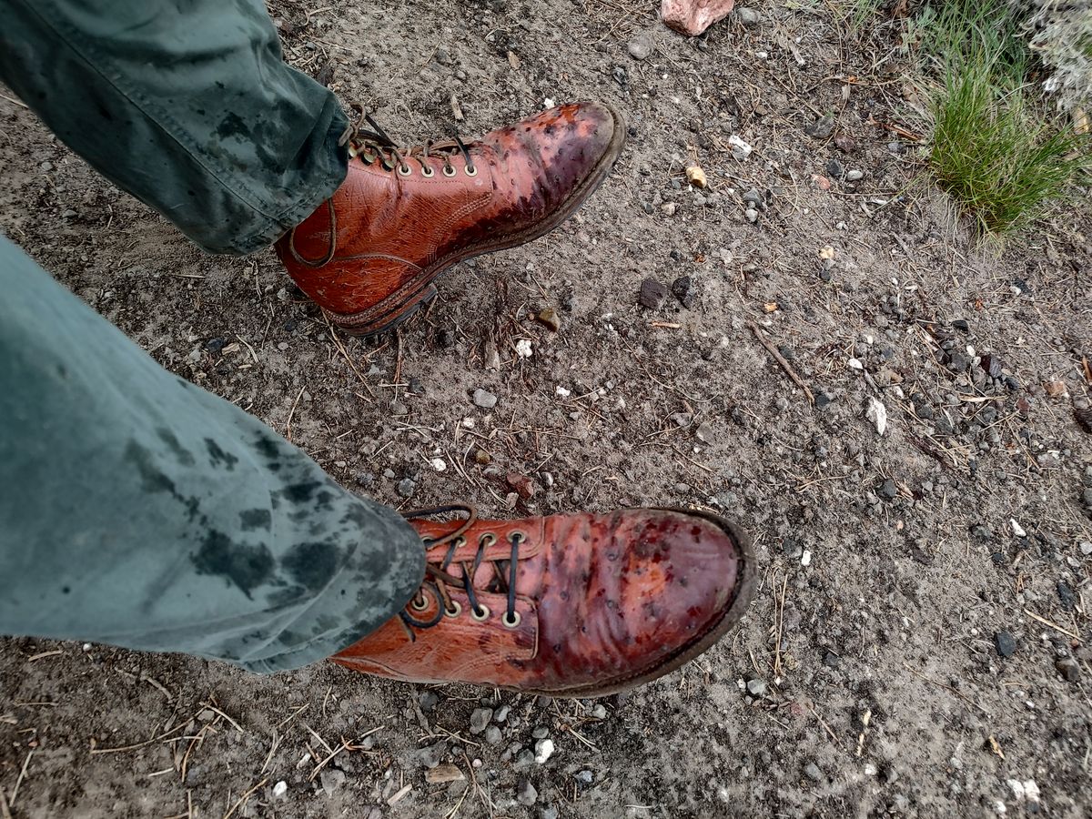 Photo by prospect_joe on June 29, 2023 of the Grant Stone Diesel Boot in Cognac Ostrich.