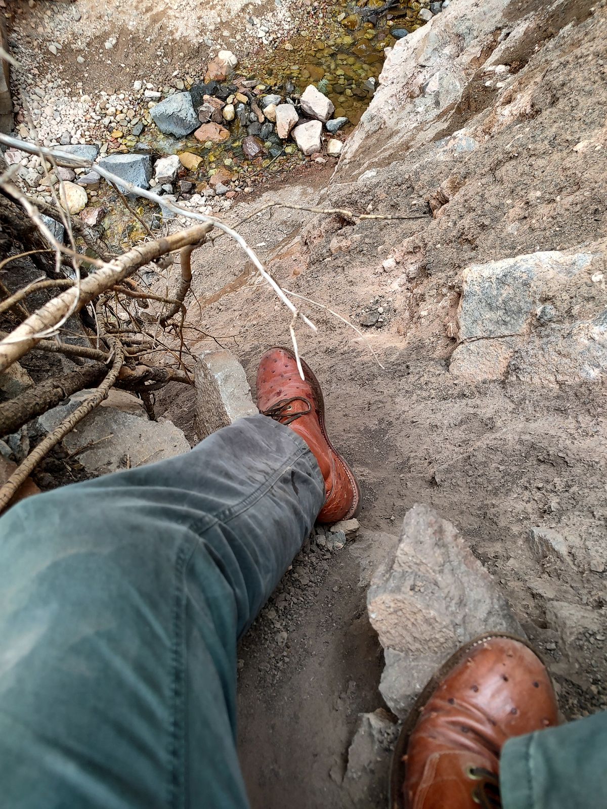 Photo by prospect_joe on June 29, 2023 of the Grant Stone Diesel Boot in Cognac Ostrich.