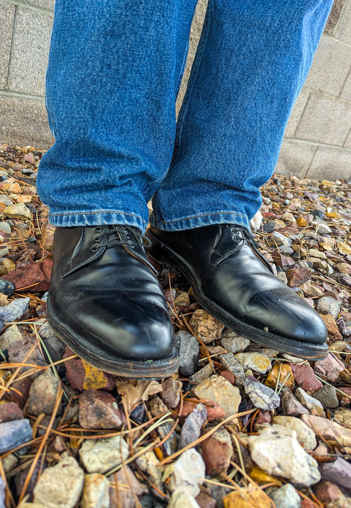 Photo by prospect_joe on May 5, 2025 of the Alden 00069 Black Calfskin Plain Toe Blucher in Black Calfskin.