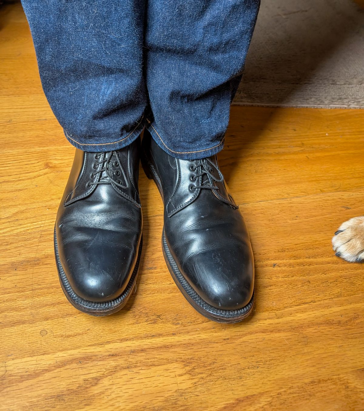 Photo by prospect_joe on August 25, 2025 of the Alden 00069 Black Calfskin Plain Toe Blucher in Black Calfskin.