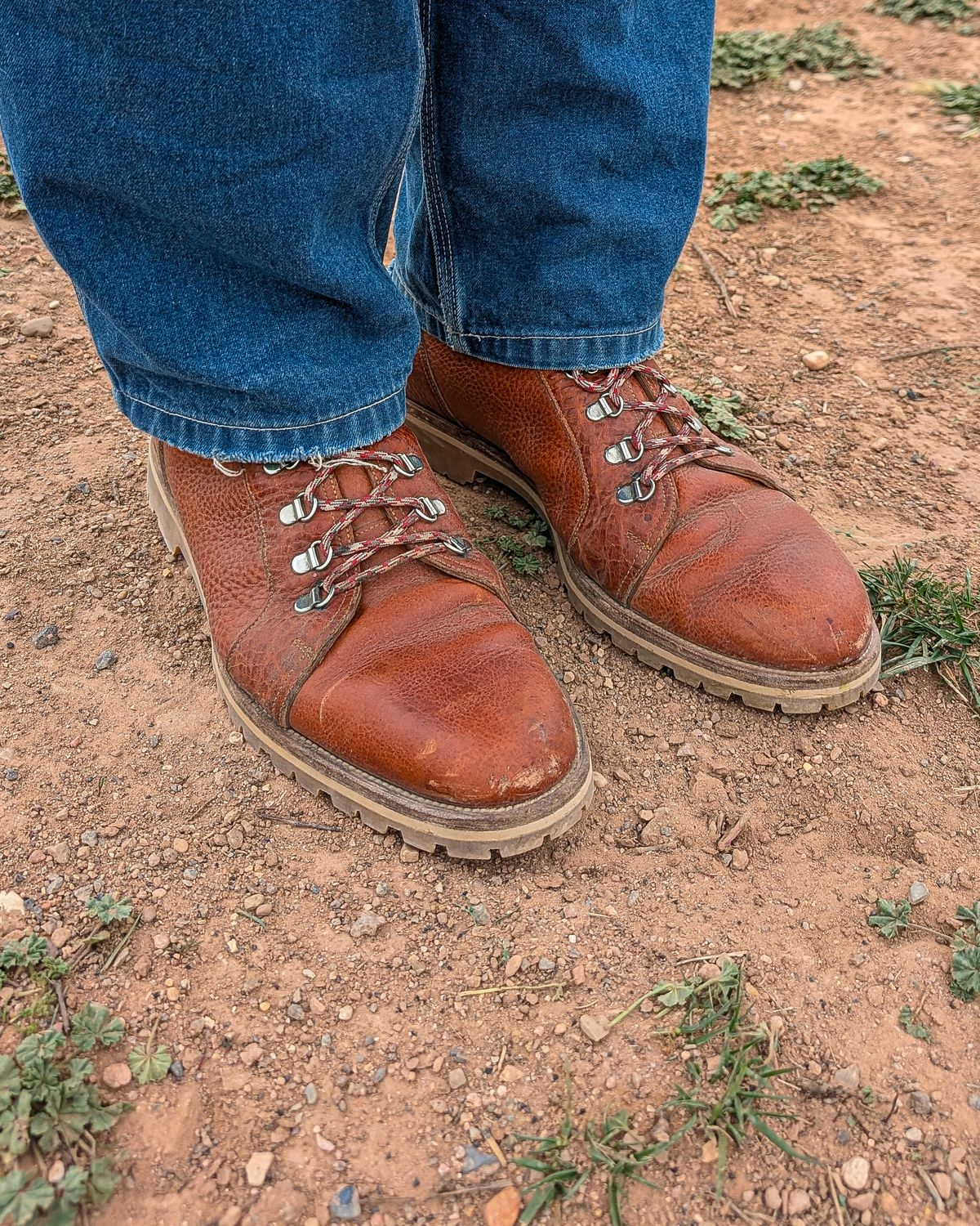 Photo by prospect_joe on April 26, 2026 of the Enzo Bonafe 3853 in Horween Natural Bison.