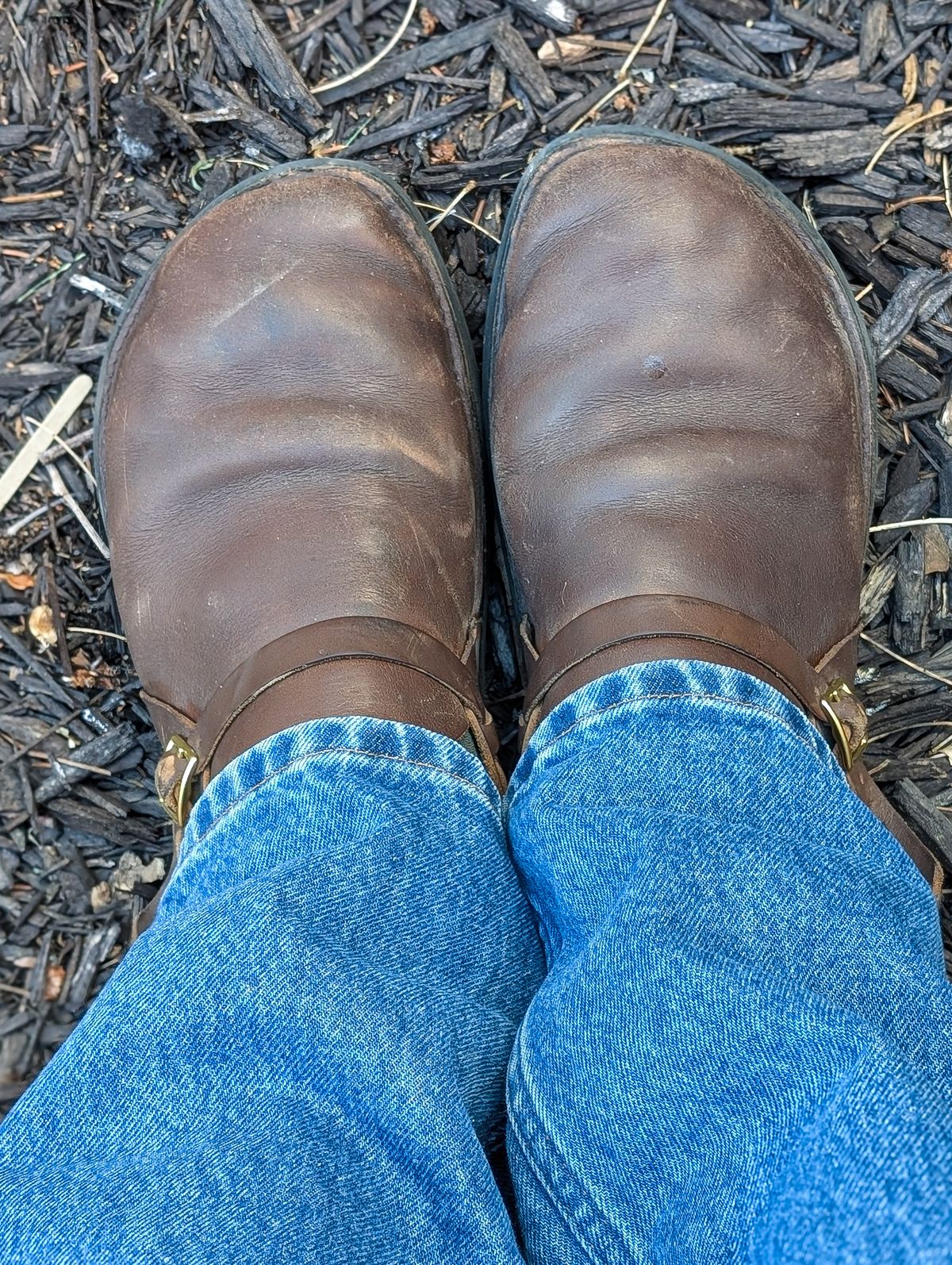 Photo by prospect_joe on June 20, 2025 of the Aurora Shoe Co. Middle English in Horween Olive Chromexcel.