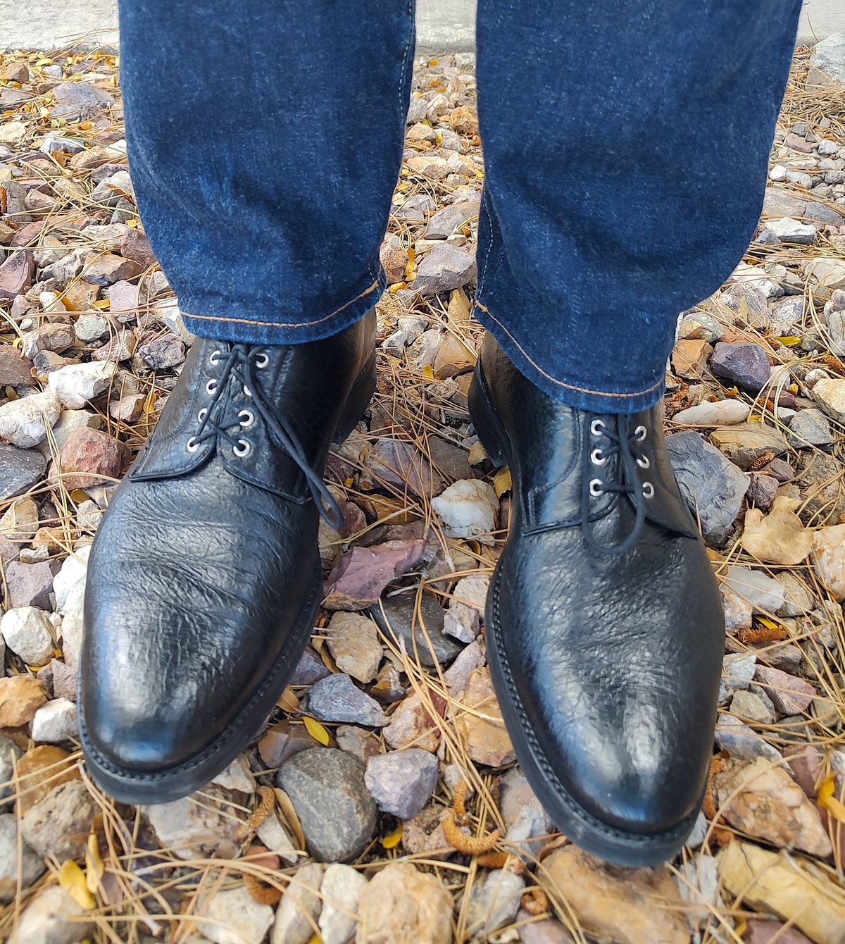 Photo by prospect_joe on August 23, 2024 of the Gravati Plain Toe Blucher in Black Peccary.