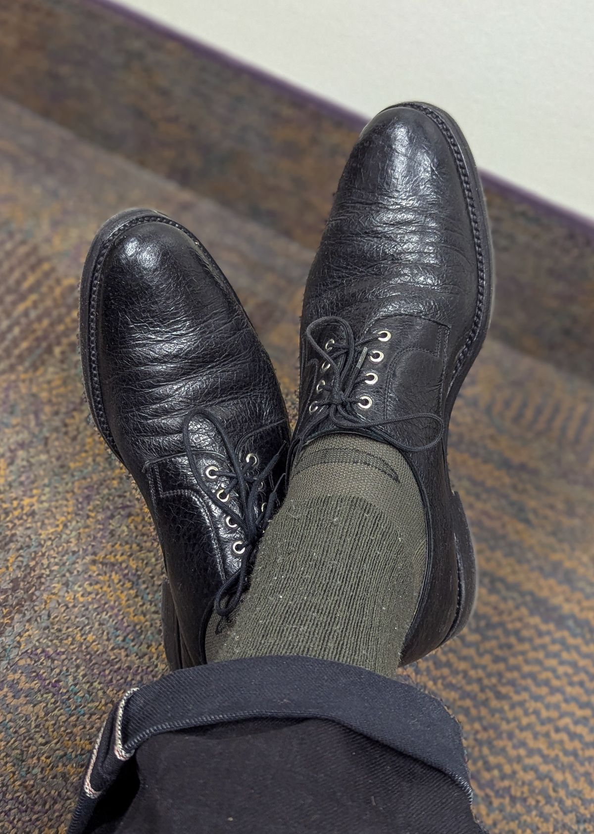 Photo by prospect_joe on March 2, 2025 of the Gravati Plain Toe Blucher in Black Peccary.