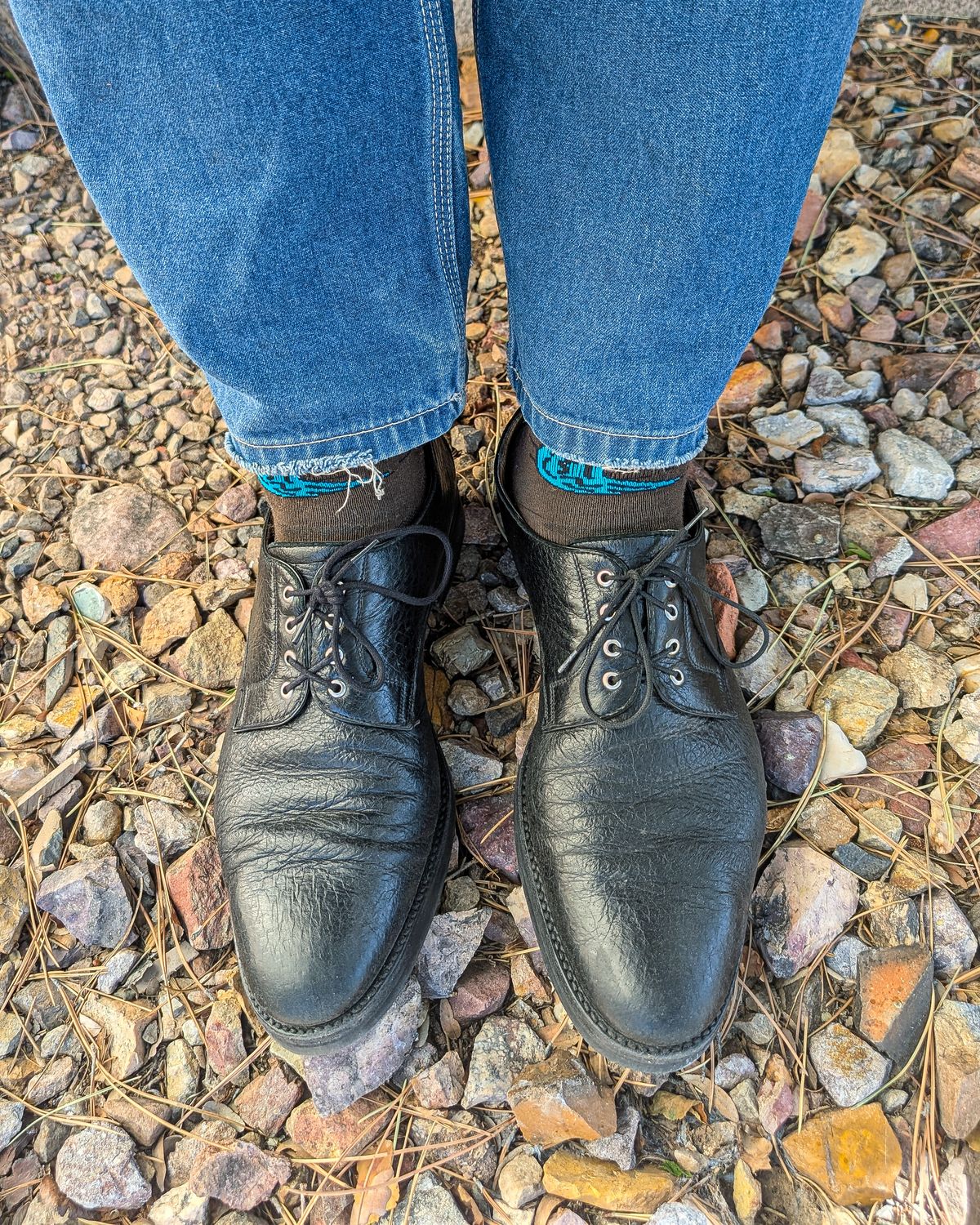 Photo by prospect_joe on June 7, 2026 of the Gravati Plain Toe Blucher in Black Peccary.