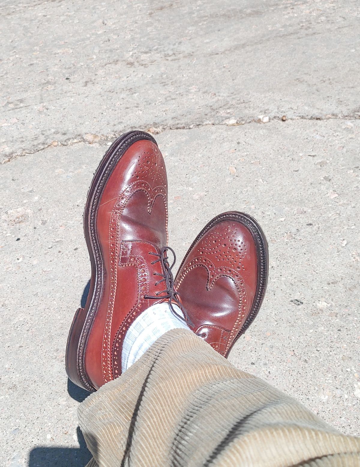 Photo by prospect_joe on July 3, 2024 of the Grant Stone Longwing in Horween Garnet Shell Cordovan.