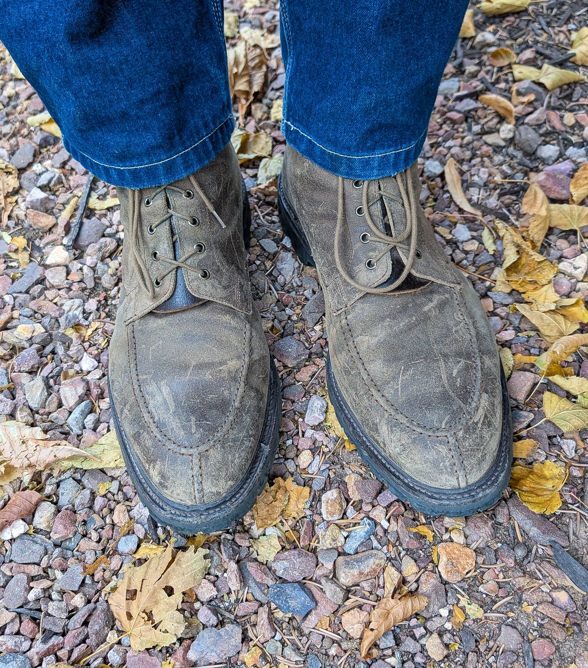 Photo by prospect_joe on November 12, 2025 of the Crockett & Jones Shannon in Crockett & Jones / Natural Rough Out Suede.