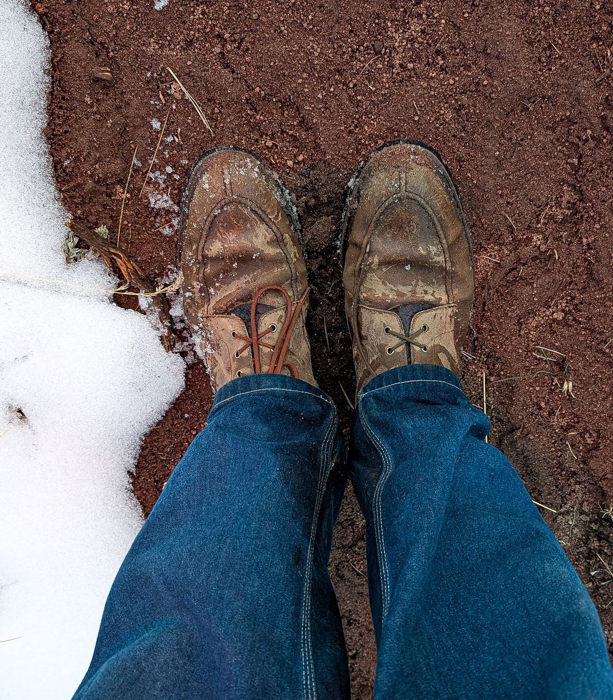Photo by prospect_joe on November 23, 2025 of the Crockett & Jones Shannon in Crockett & Jones / Natural Rough Out Suede.
