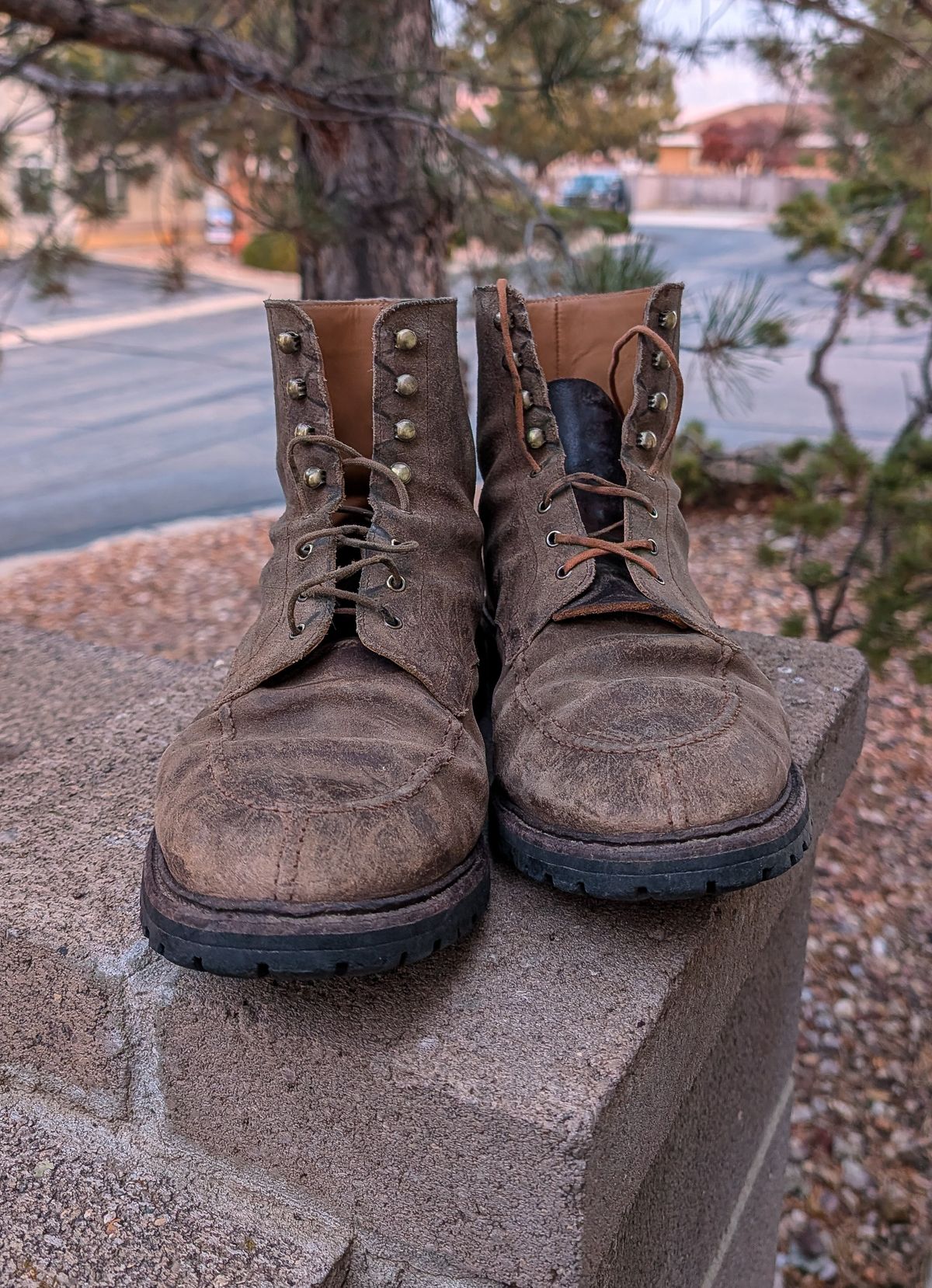 Photo by prospect_joe on December 2, 2025 of the Crockett & Jones Shannon in Crockett & Jones / Natural Rough Out Suede.