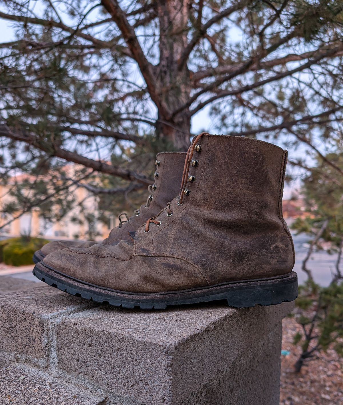 Photo by prospect_joe on December 2, 2025 of the Crockett & Jones Shannon in Crockett & Jones / Natural Rough Out Suede.