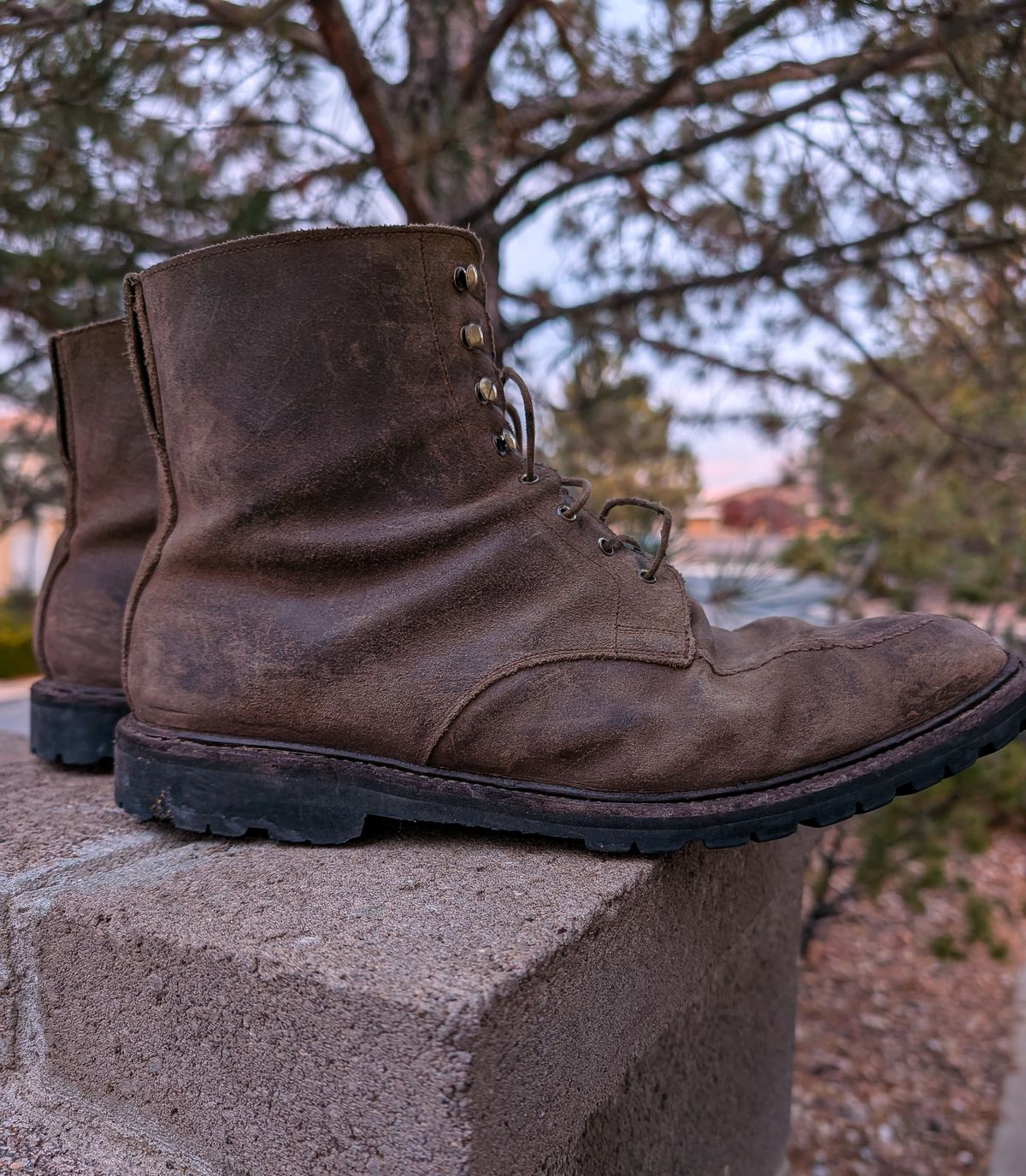 Photo by prospect_joe on December 2, 2025 of the Crockett & Jones Shannon in Crockett & Jones / Natural Rough Out Suede.