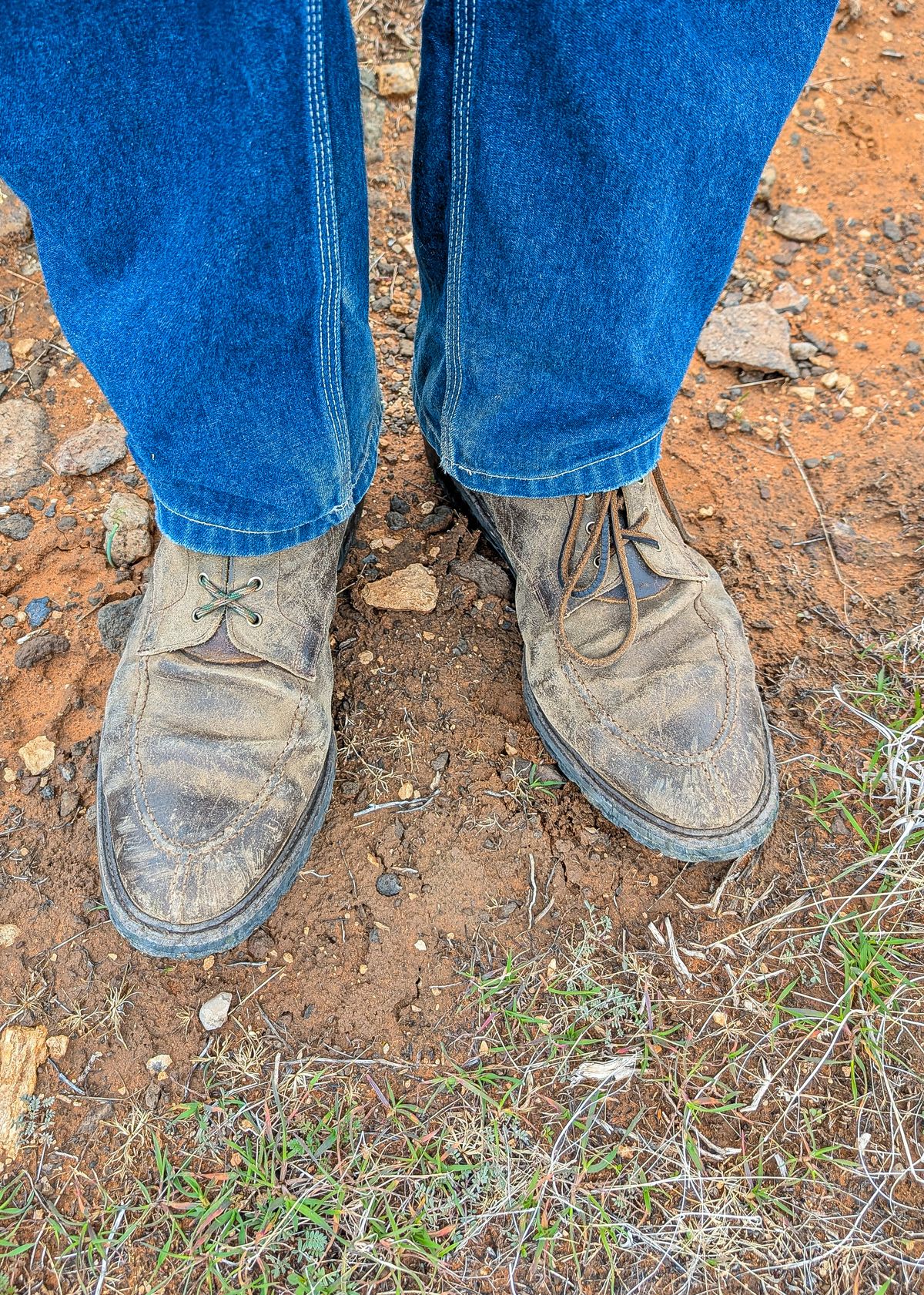 Photo by prospect_joe on January 4, 2026 of the Crockett & Jones Shannon in Crockett & Jones / Natural Rough Out Suede.