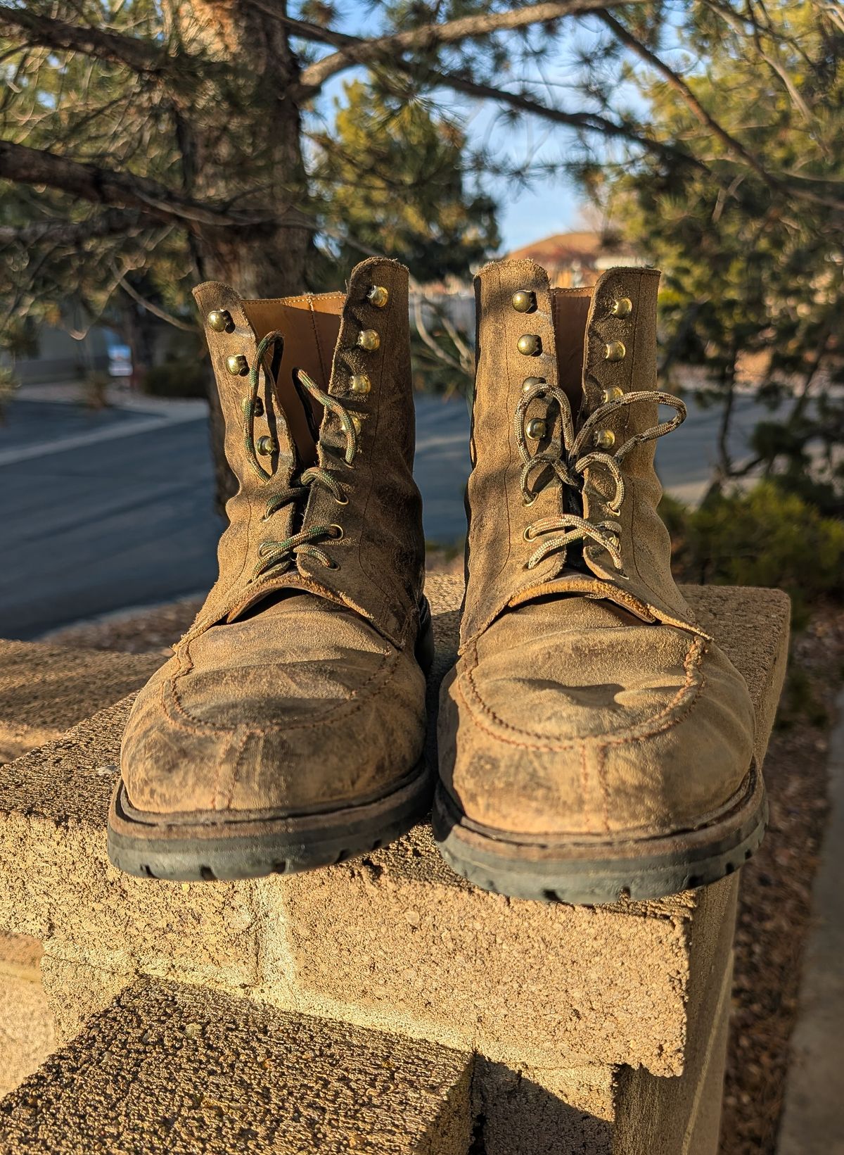 Photo by prospect_joe on January 31, 2026 of the Crockett & Jones Shannon in Crockett & Jones / Natural Rough Out Suede.