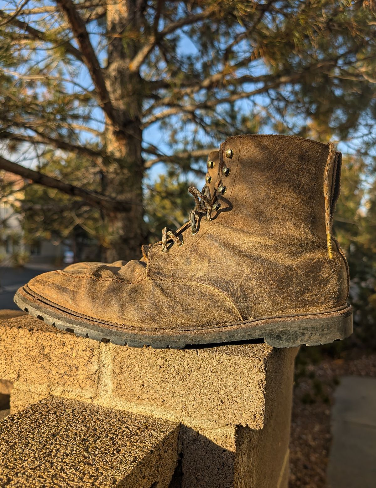 Photo by prospect_joe on January 31, 2026 of the Crockett & Jones Shannon in Crockett & Jones / Natural Rough Out Suede.